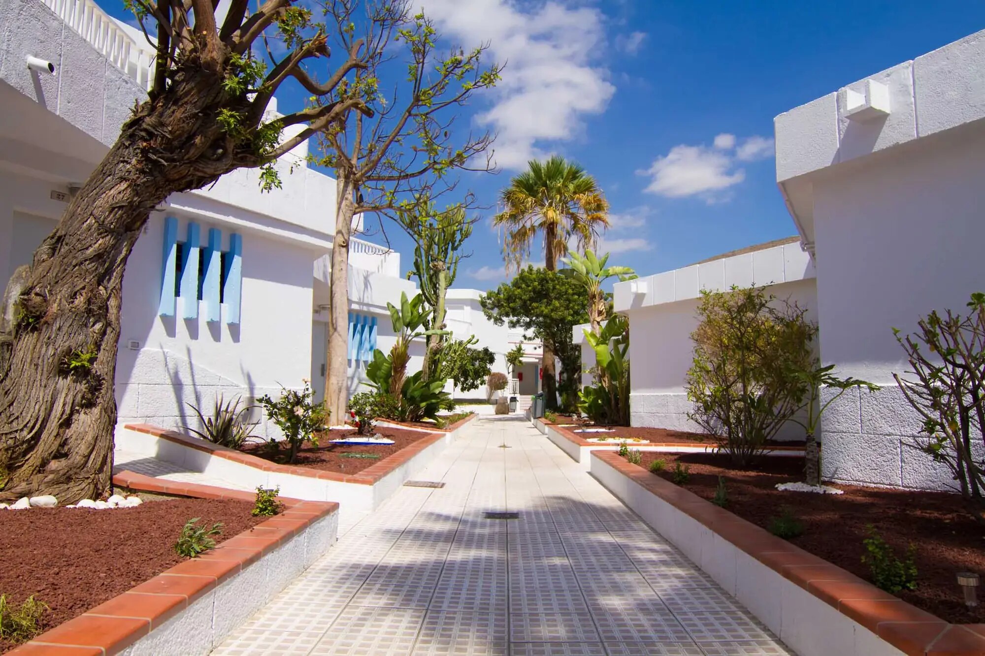 Checkin Bungalows Atlantida photo 2