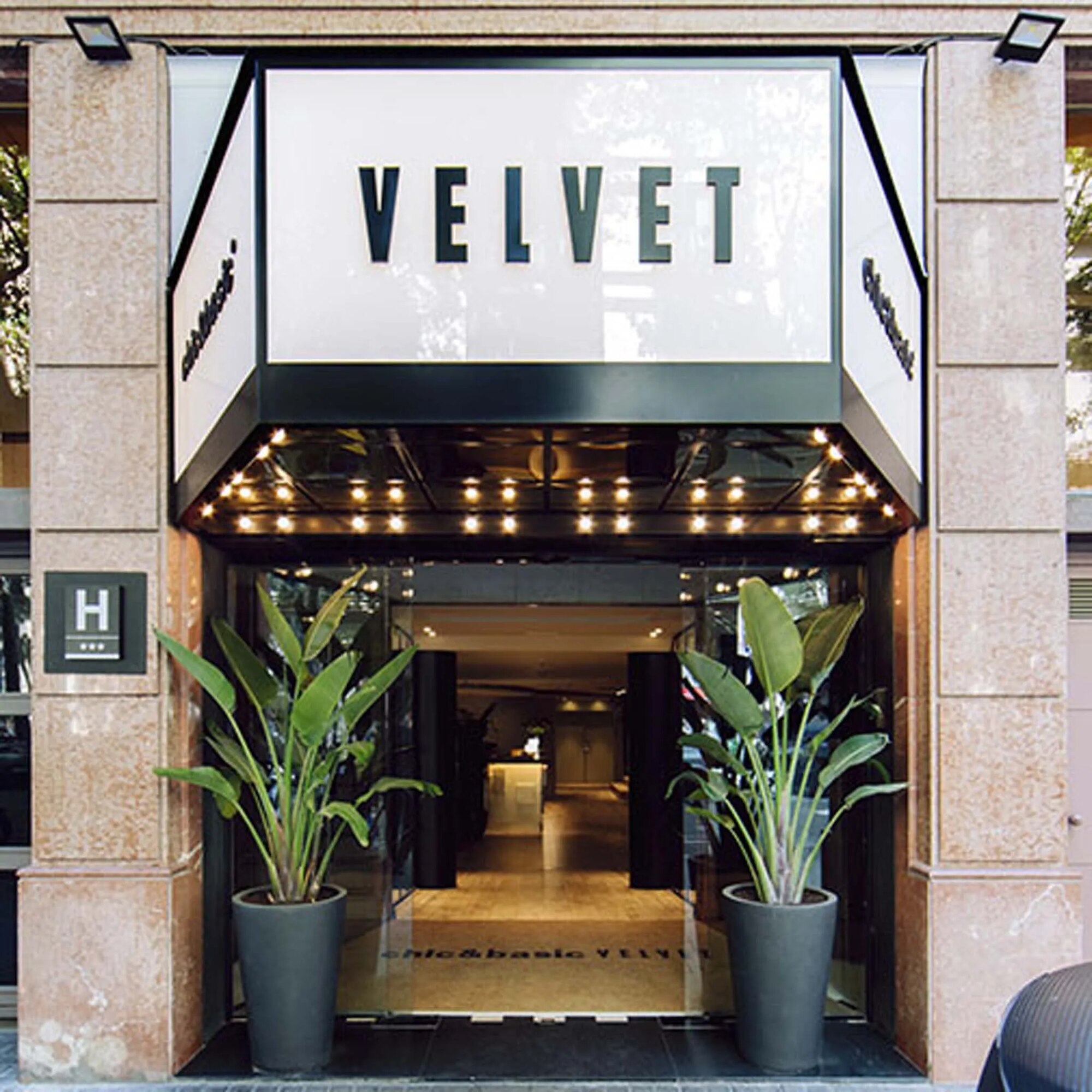 chic&basic Velvet