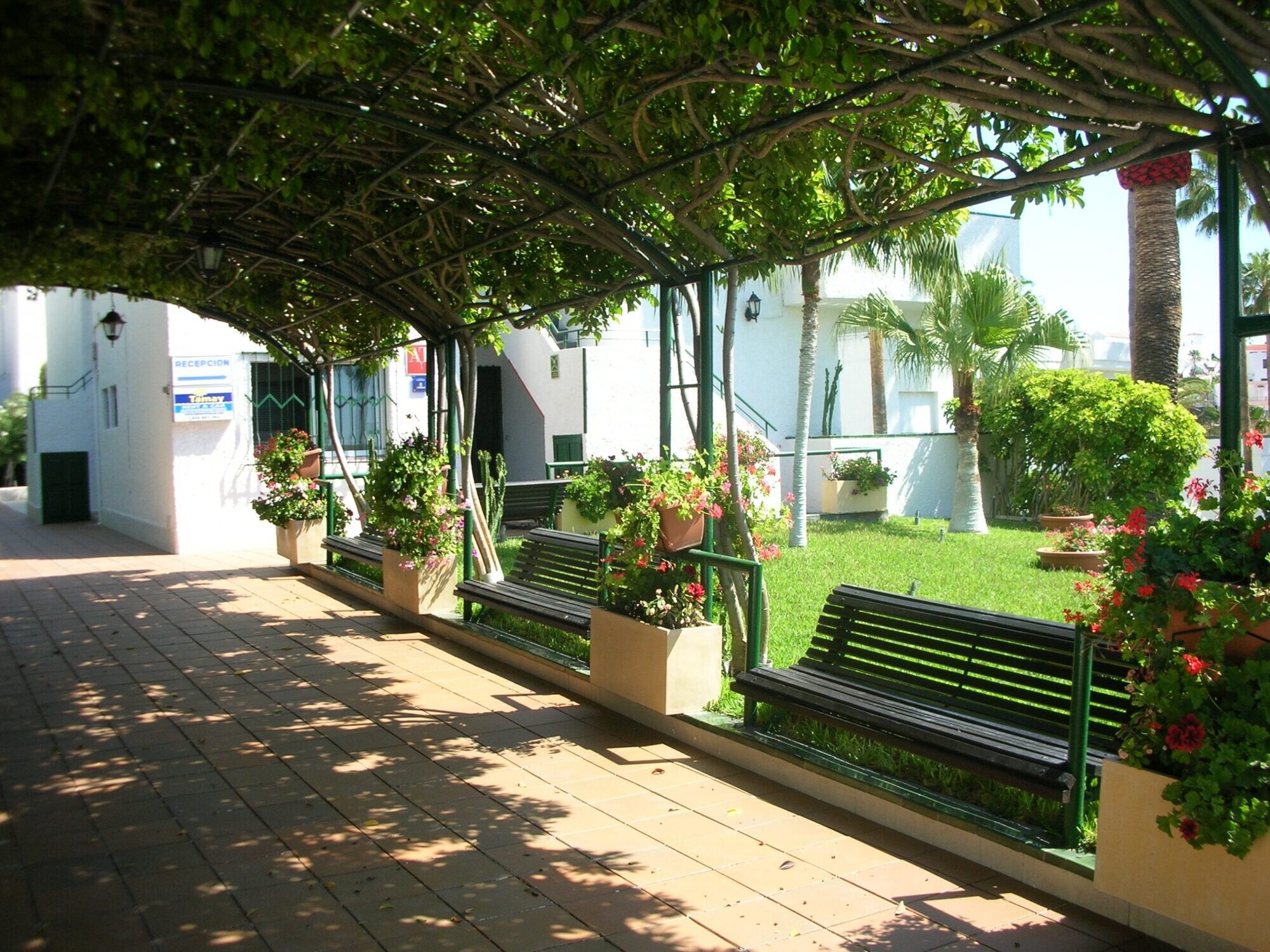 El Sombrero Apartments photo 3