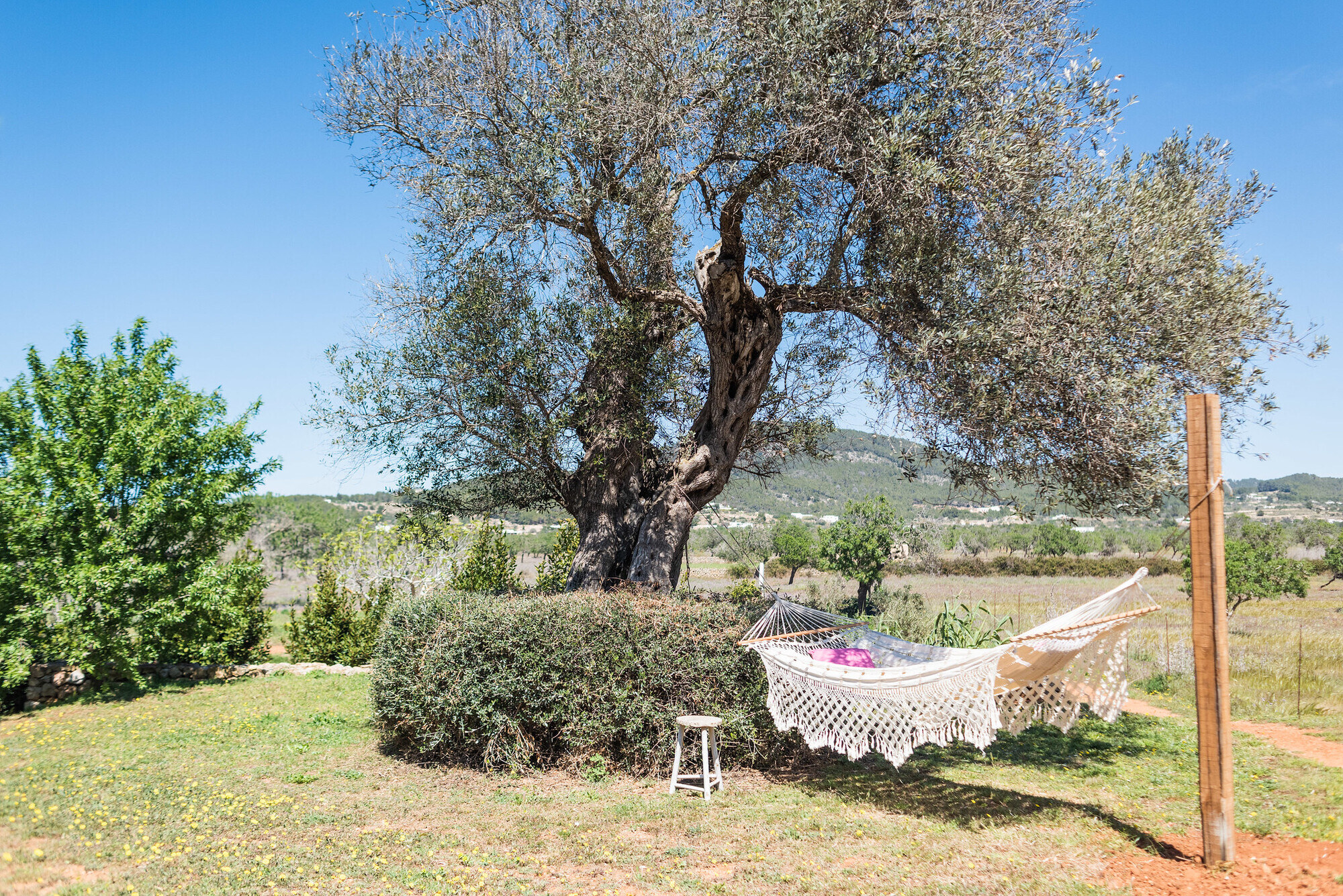 Es Cucons Rural Hotel photo 4