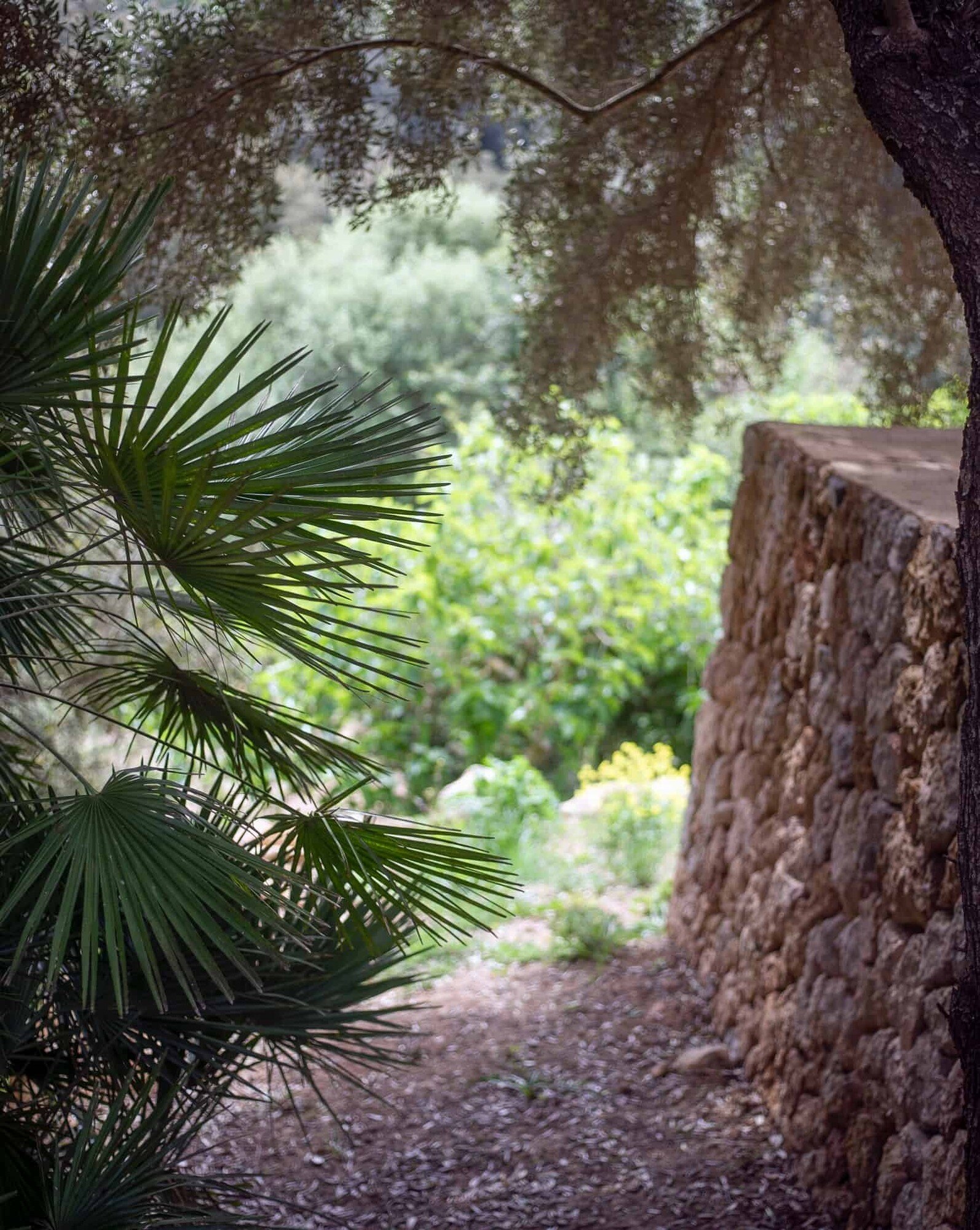 Es Raco D'Arta photo 10