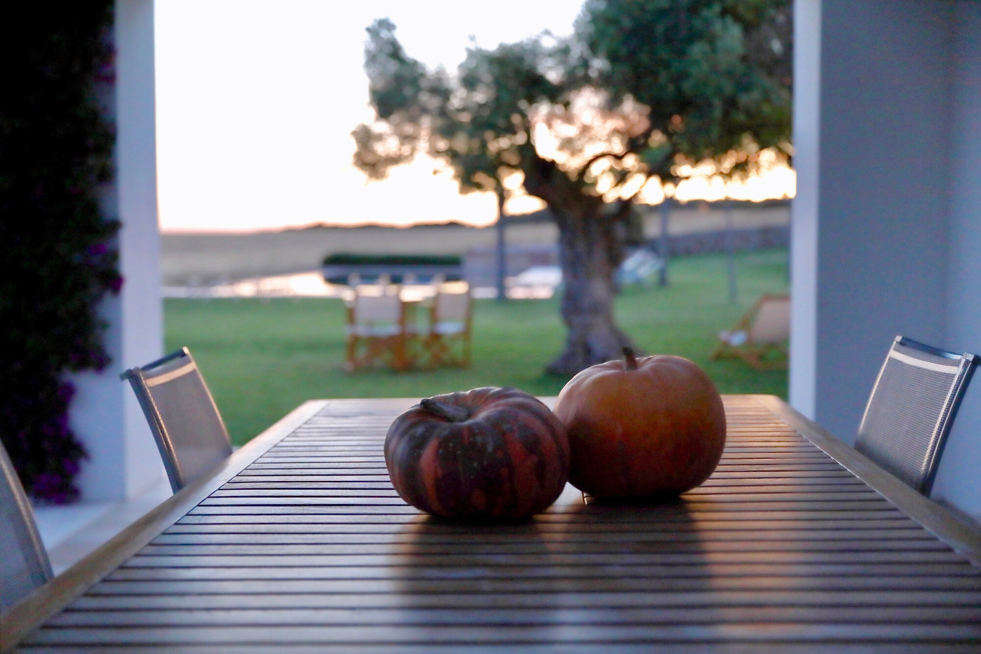 Finca Atalis photo 6