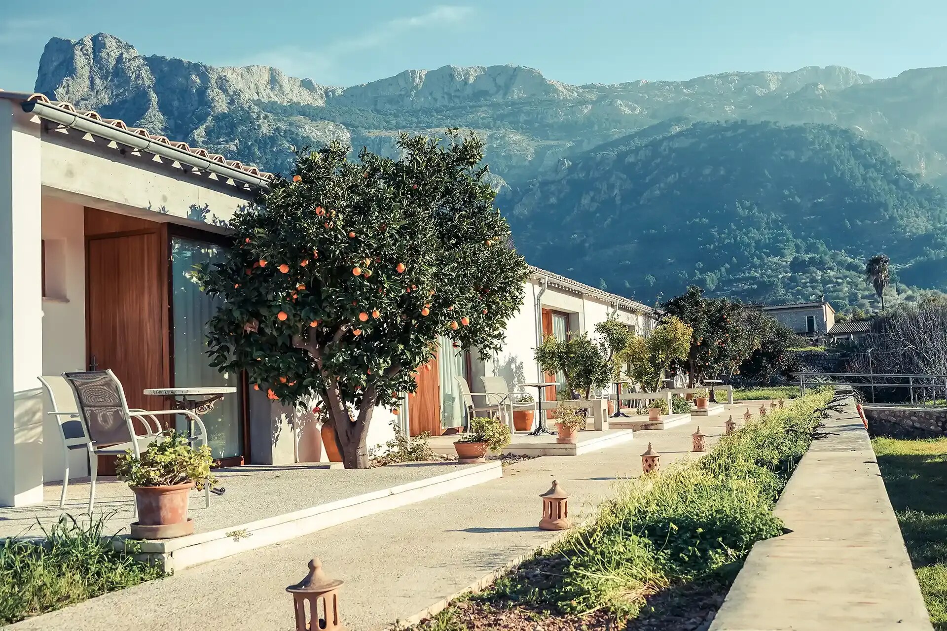 Finca Ca's Sant photo 2