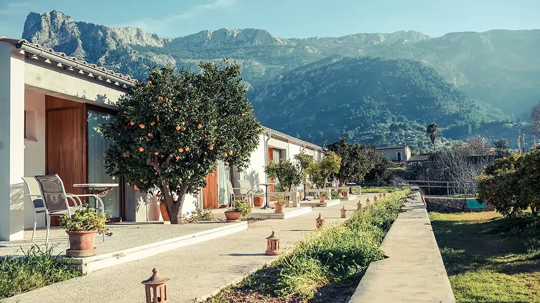 Finca Ca's Sant photo 5