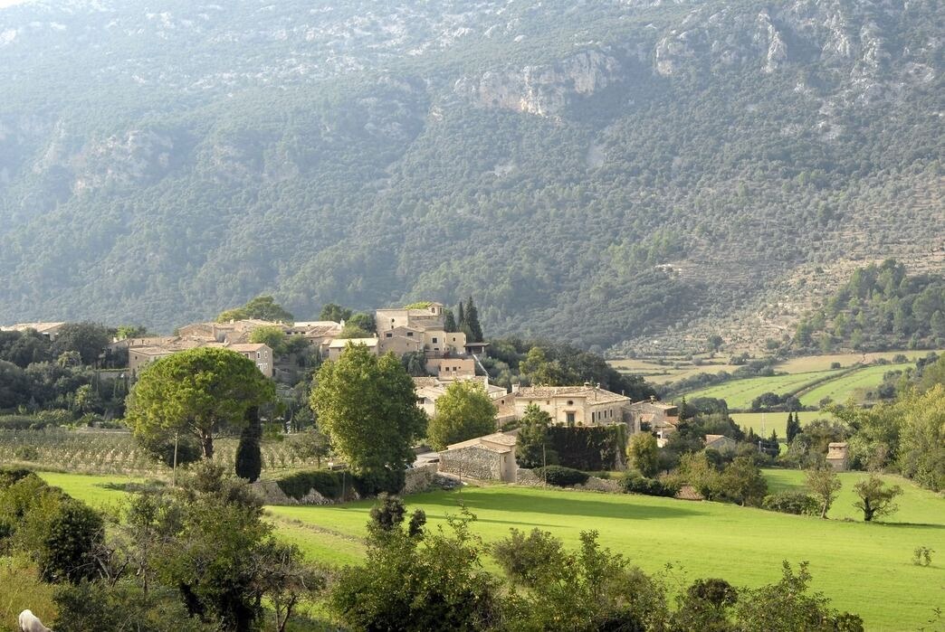 Finca Hotel Son Palou photo 3