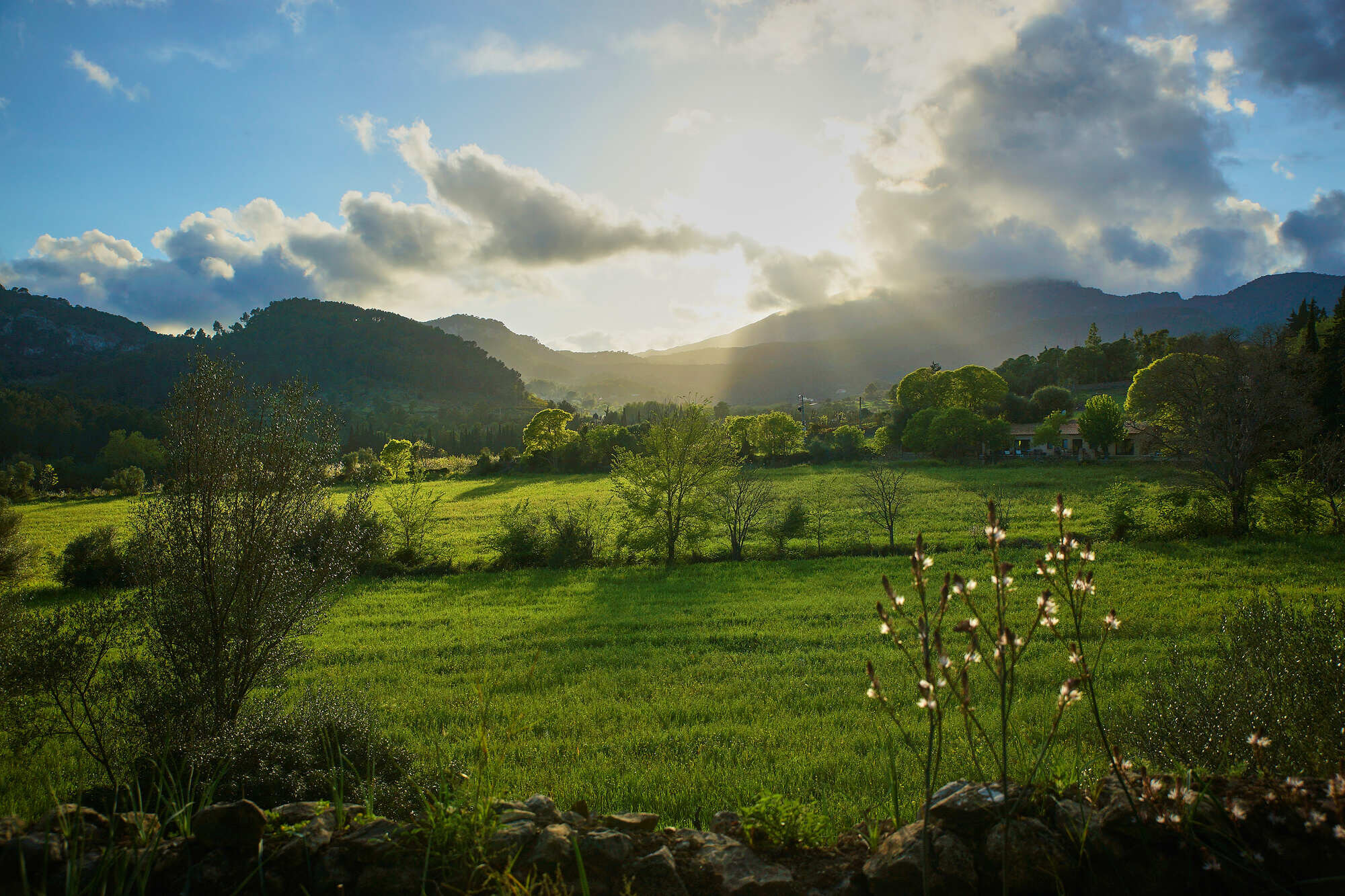 Finca Hotel Son Pont photo 8
