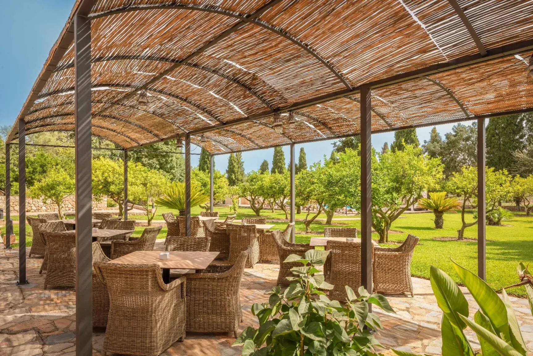 Finca Son Roig photo 10