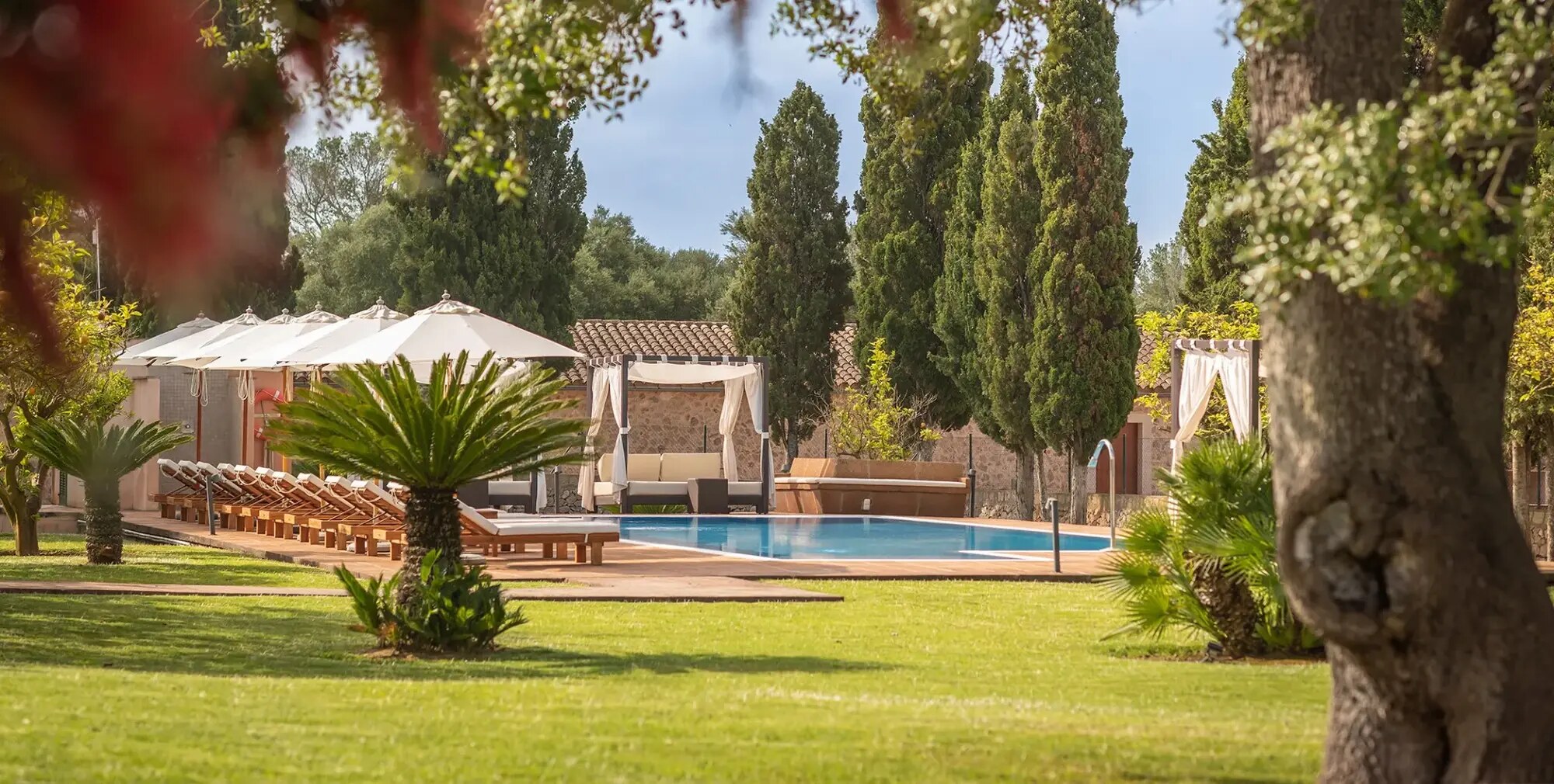 Finca Son Roig photo 4