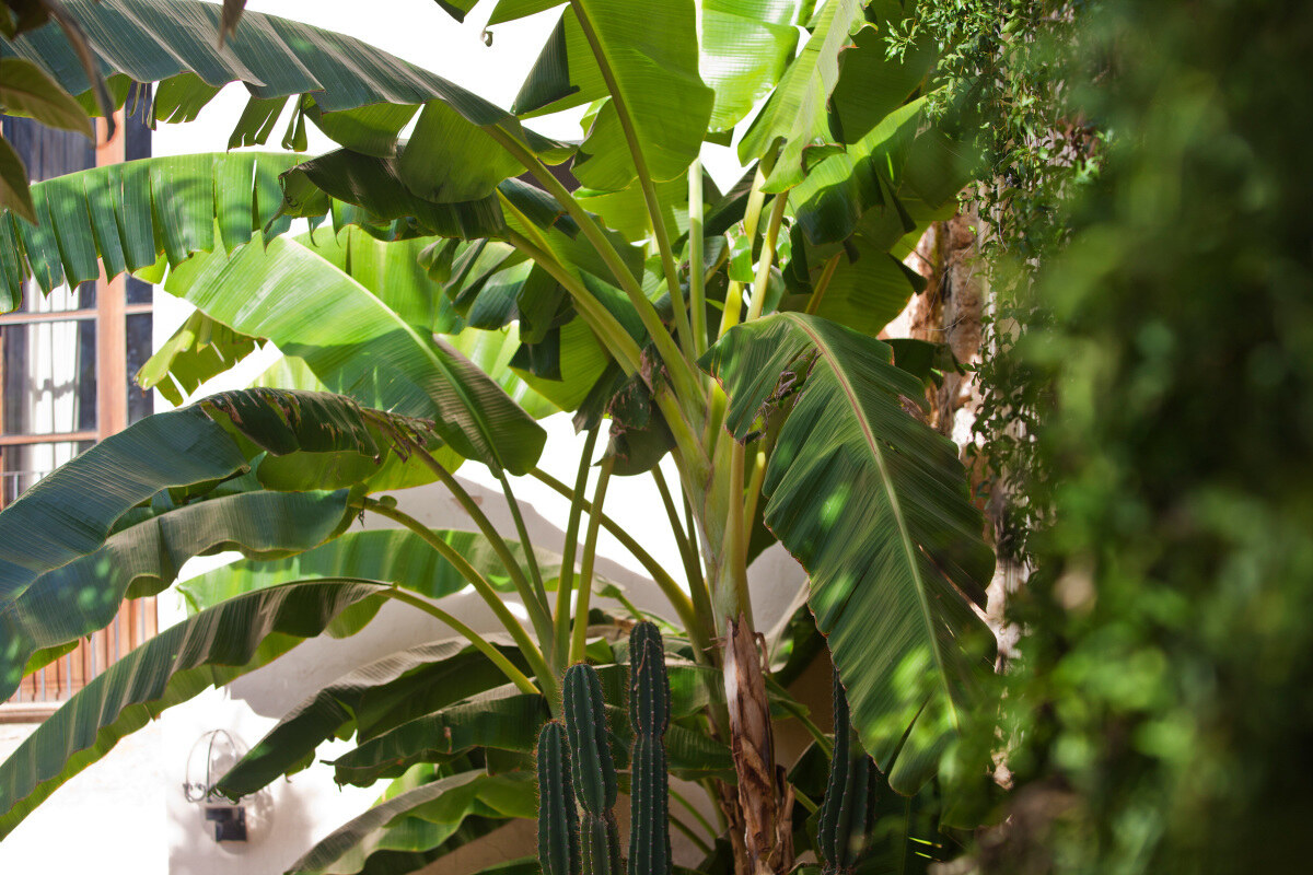 Fornalutx Petit Hotel photo 9