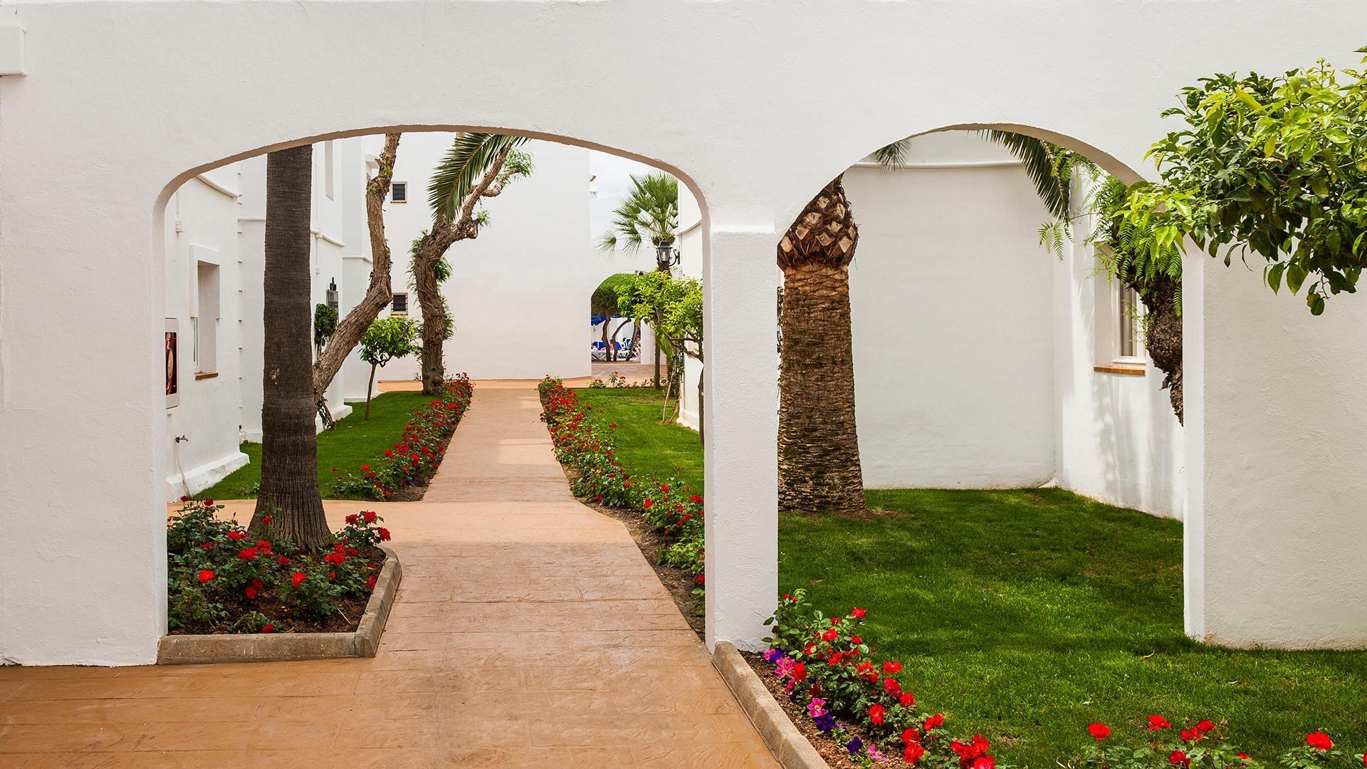 Globales Bouganvilla photo 5