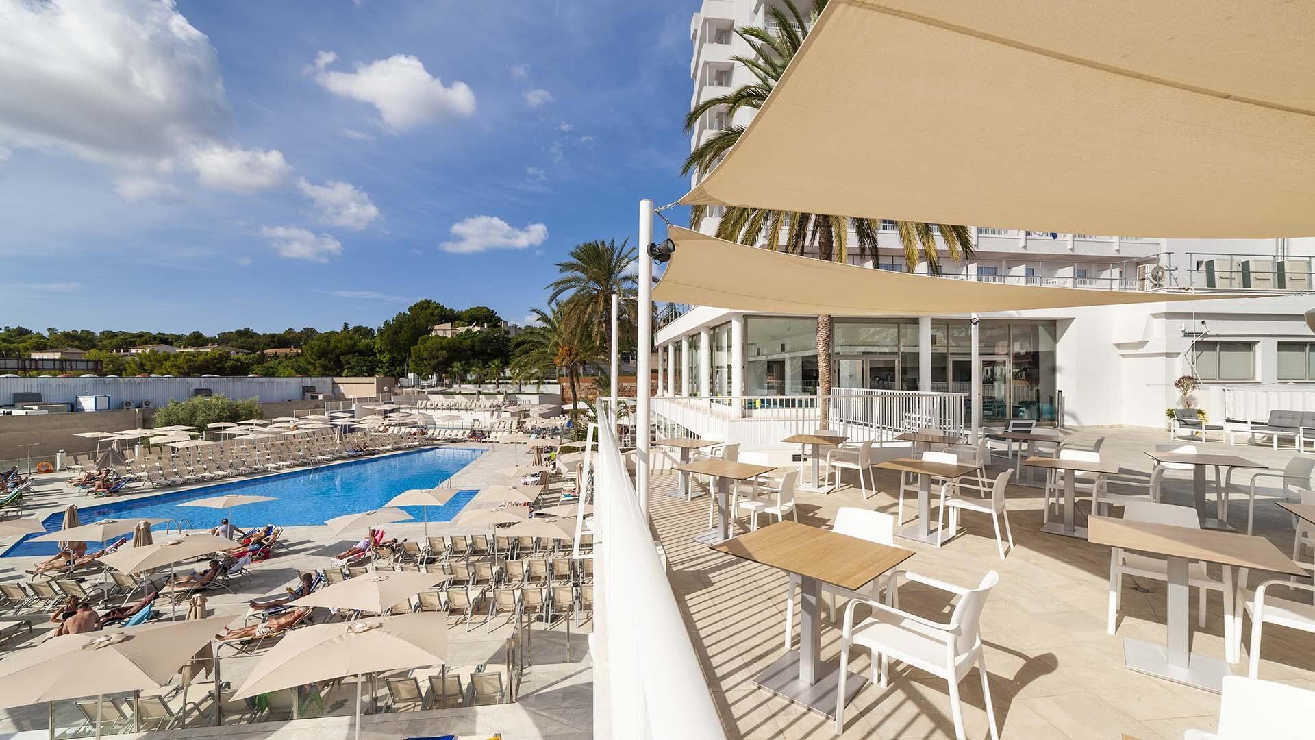 Globales Mimosa photo 7