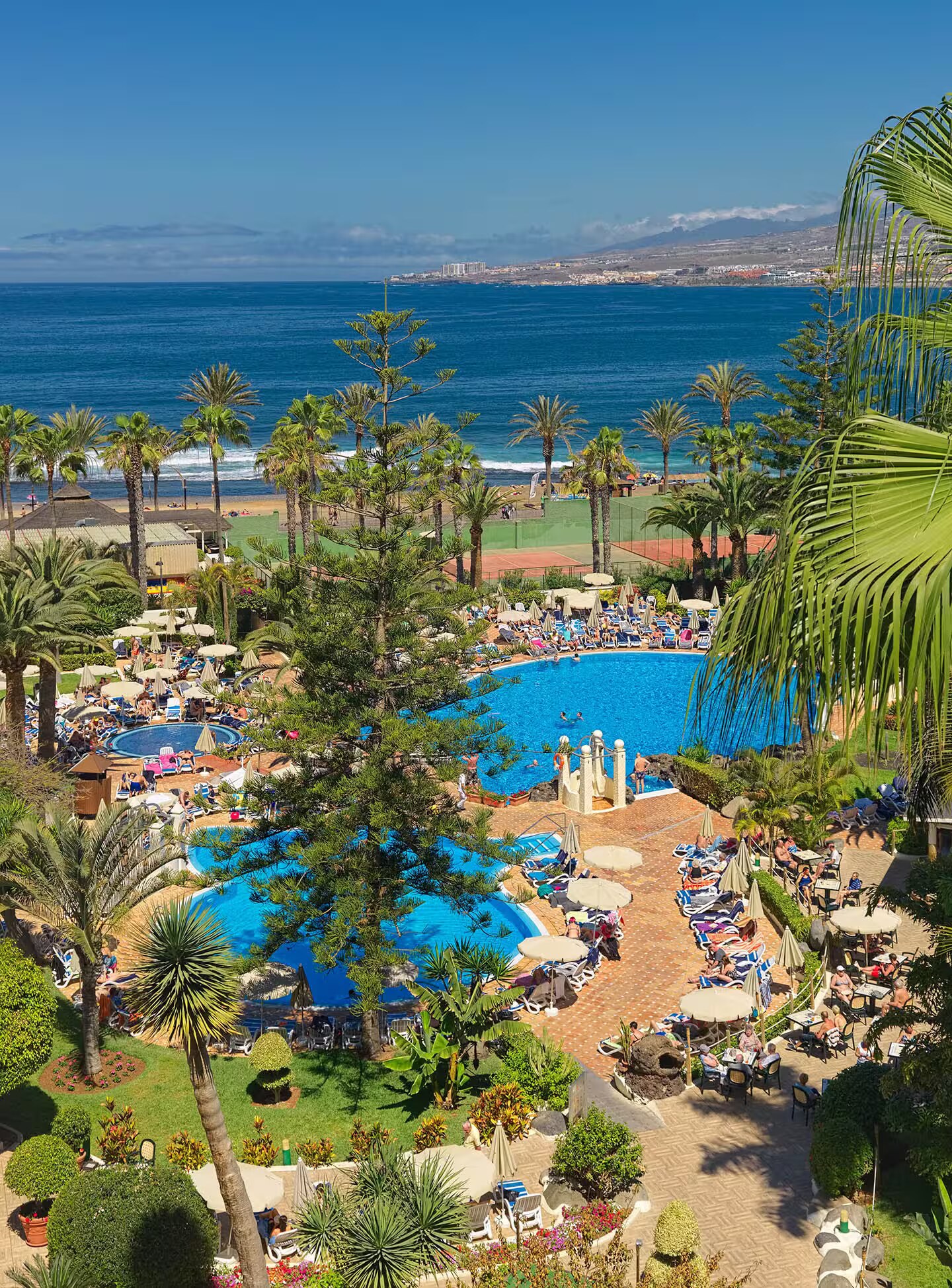 H10 Las Palmeras photo 4