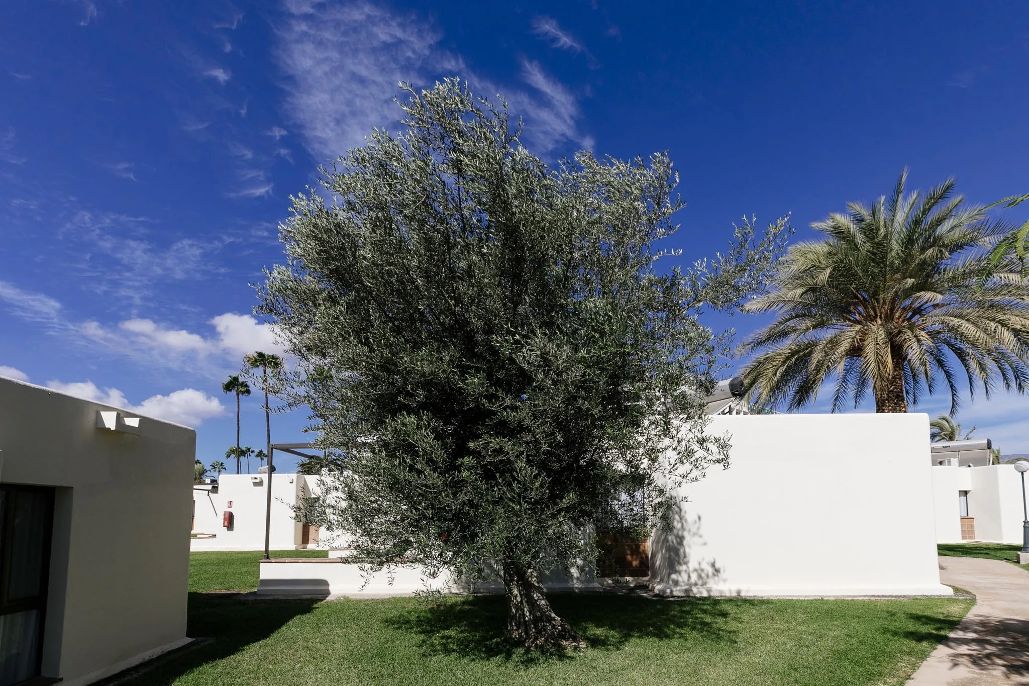 HD Parque Cristobal Gran Canaria