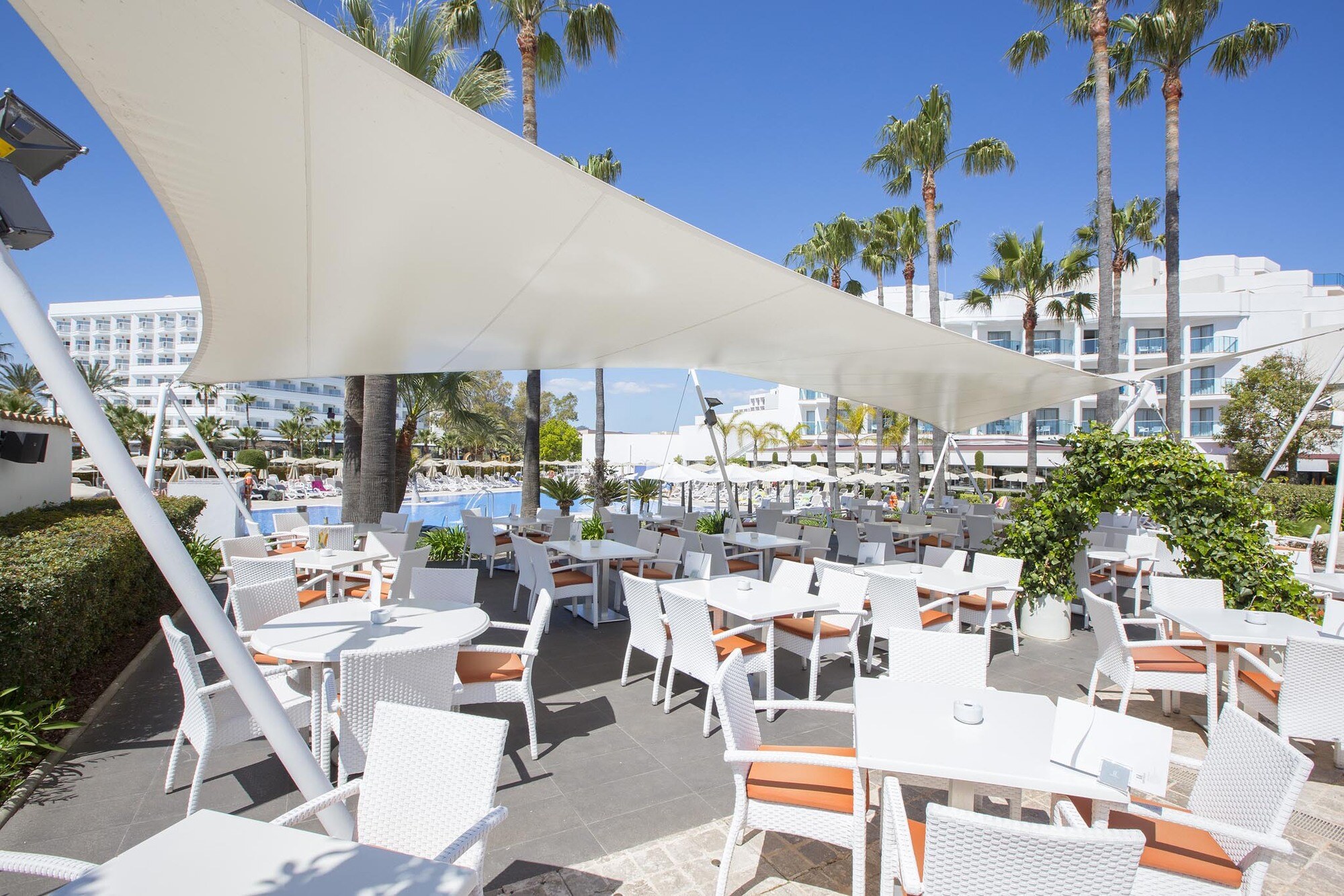 Hipotels Cala Millor Park photo 5