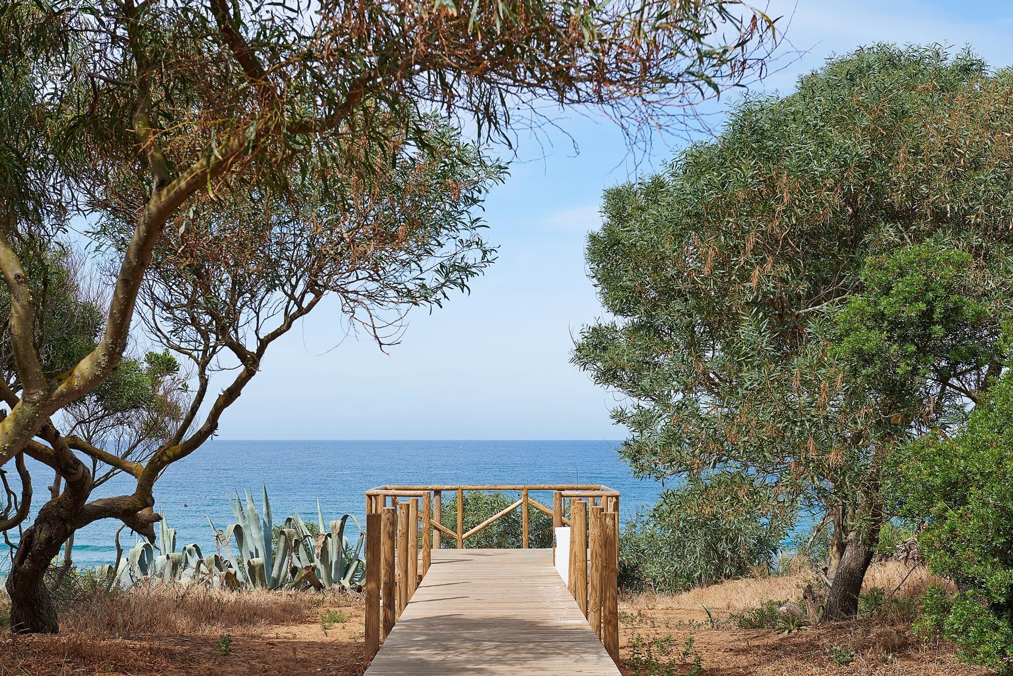 Hipotels Gran Conil photo 7