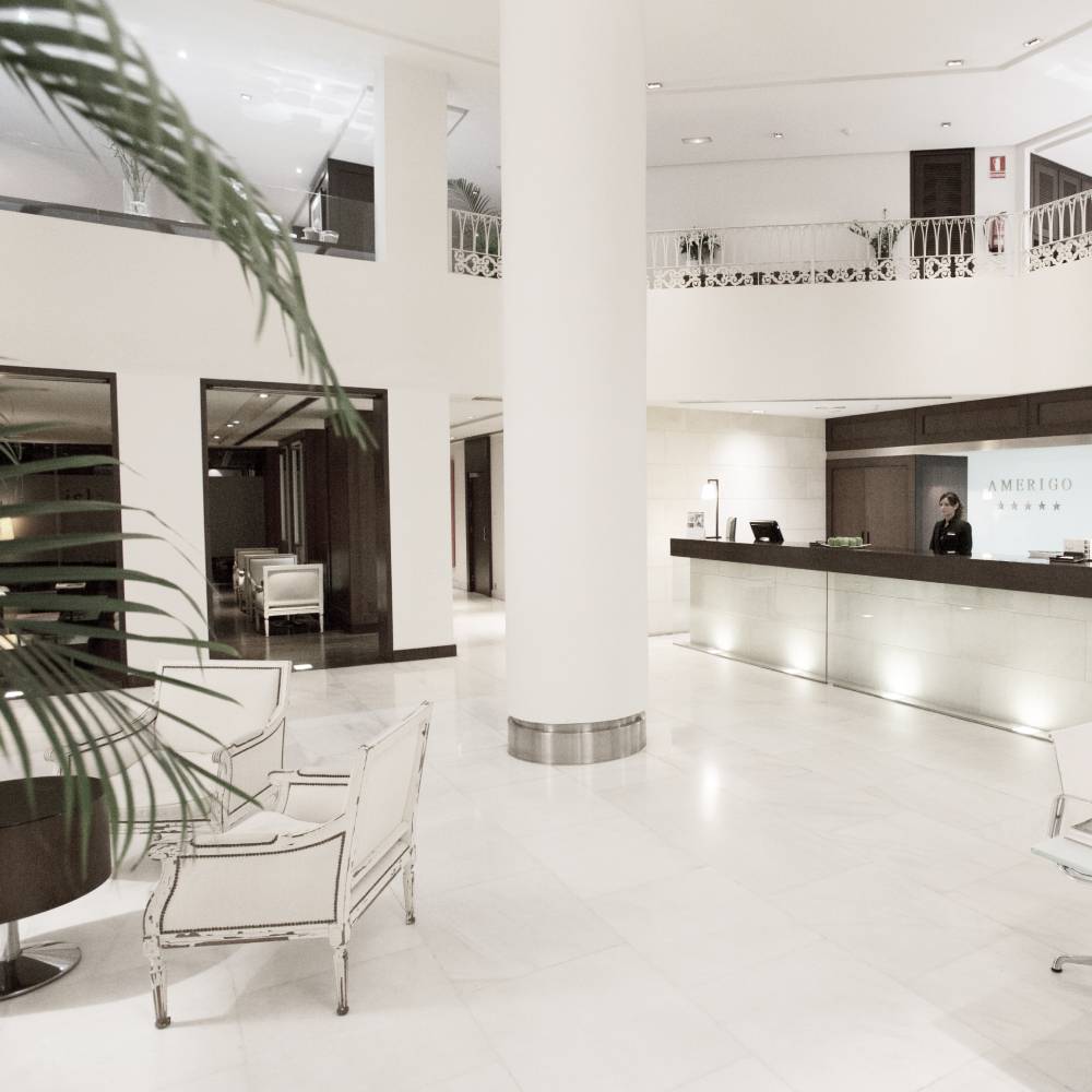 Hospes Amerigo