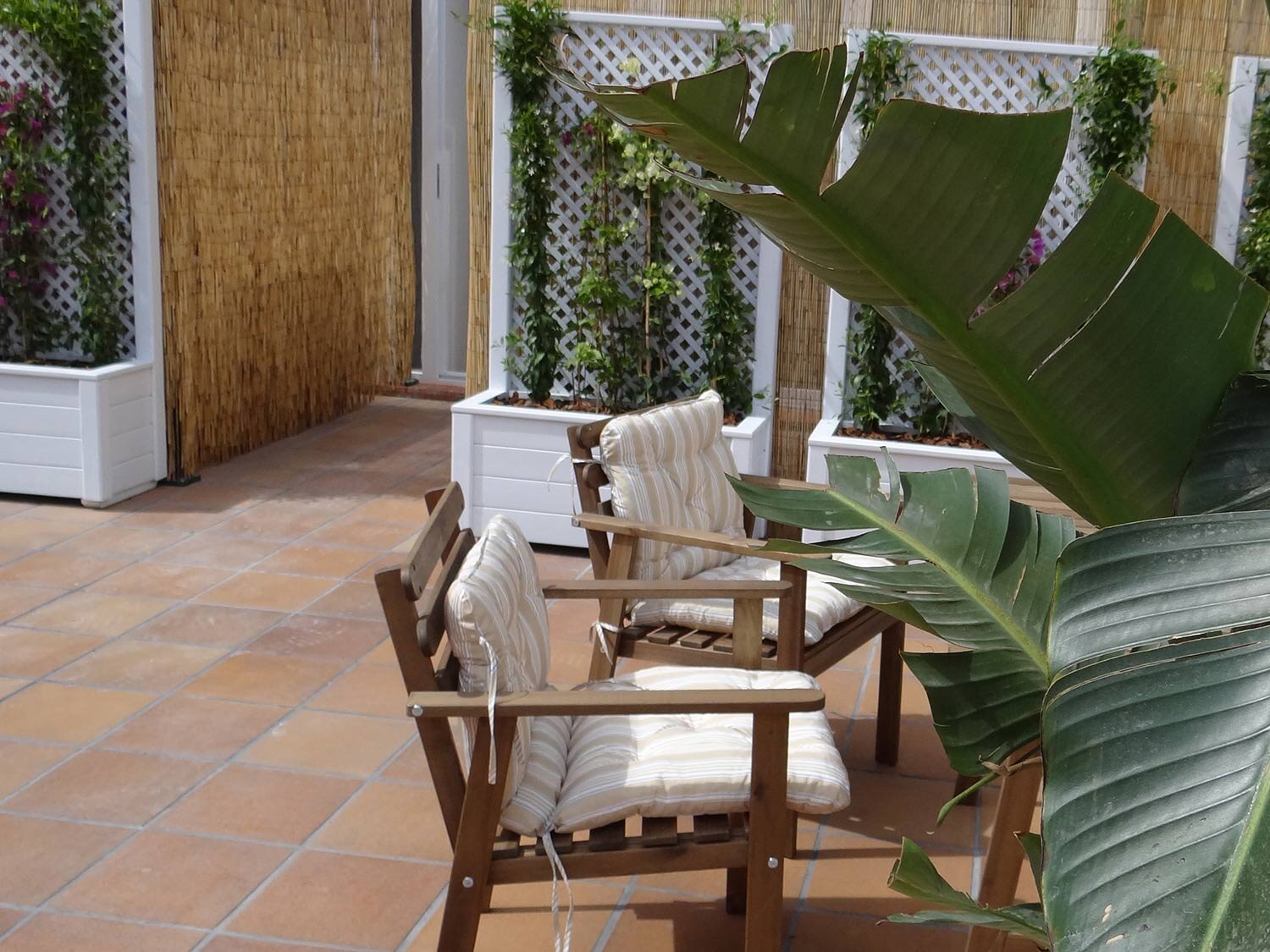 Hostal Balkonis photo 4