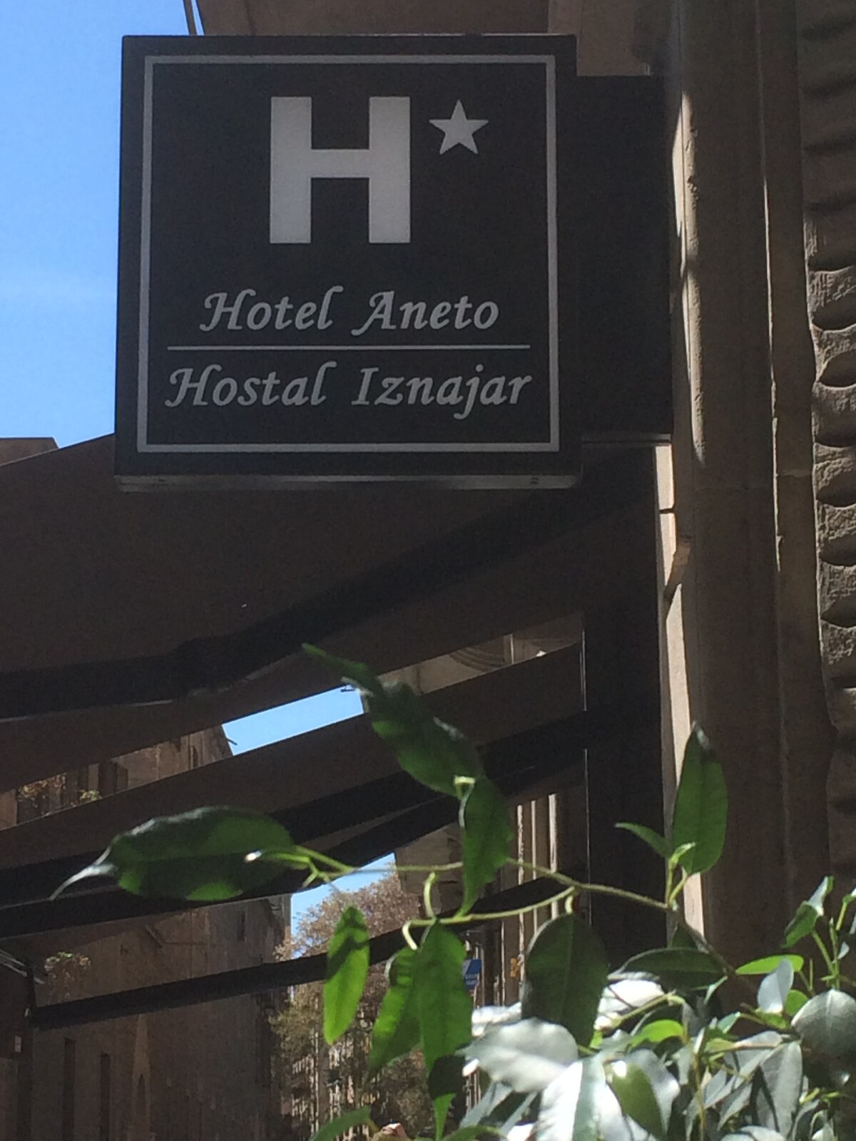 Hotel Aneto photo 7