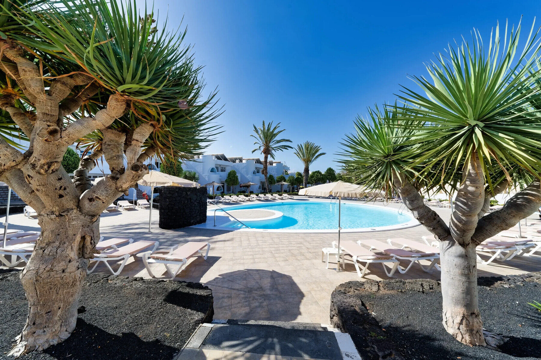 Hotel Floresta photo 3