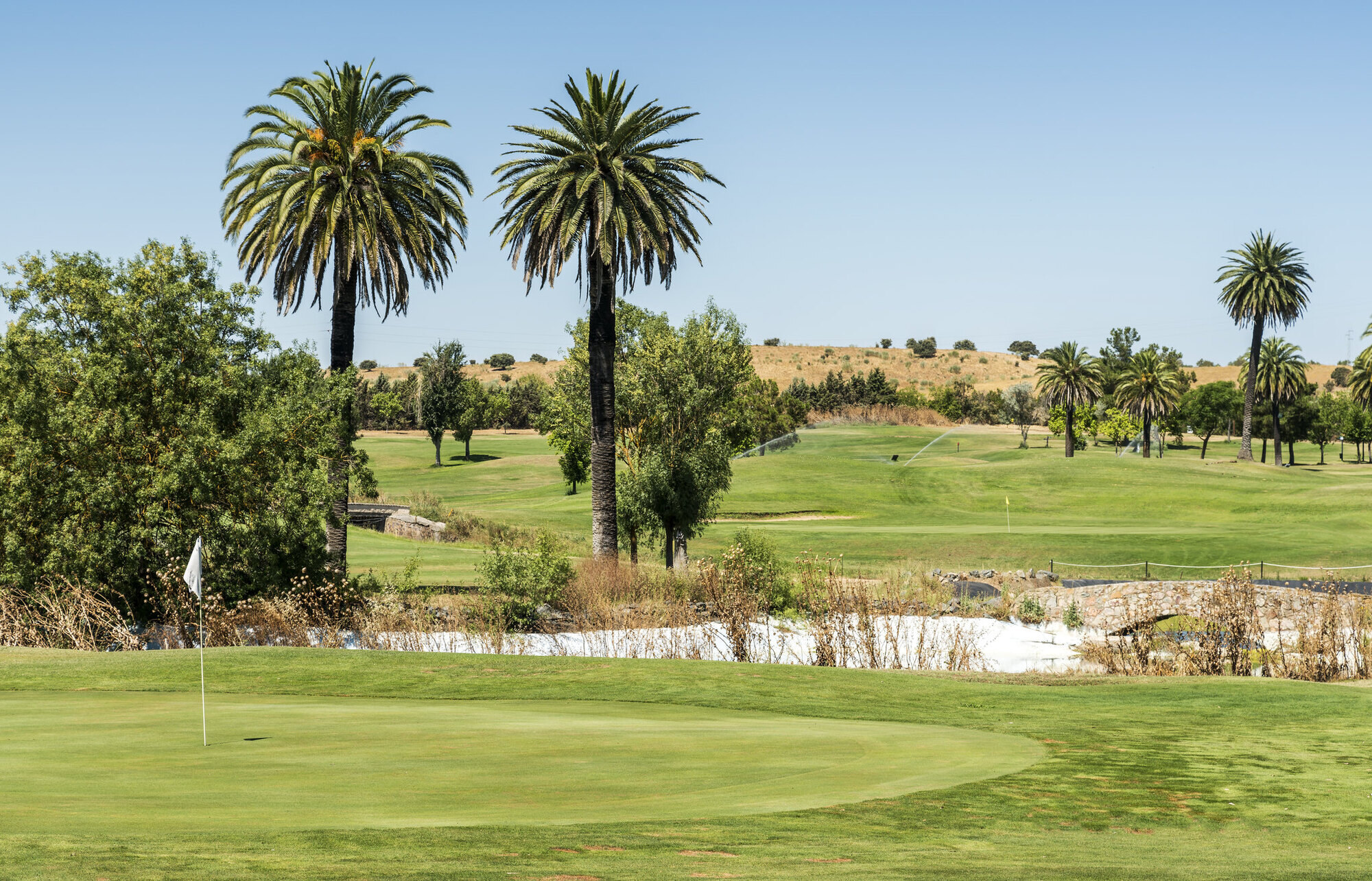 Hotel ILUNION Golf Badajoz photo 4