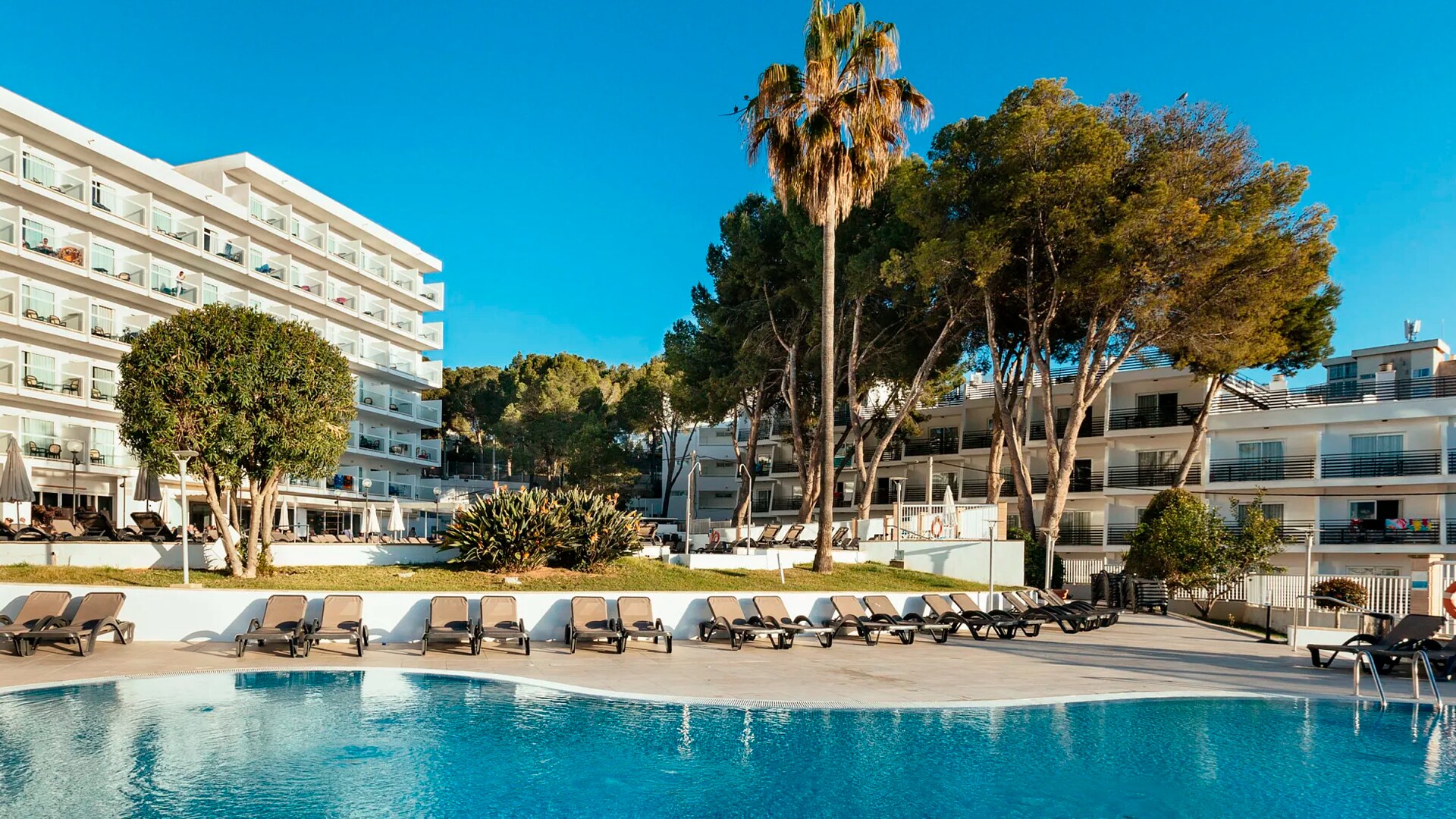 Hotel Ilunion Palmanova Mallorca photo 1