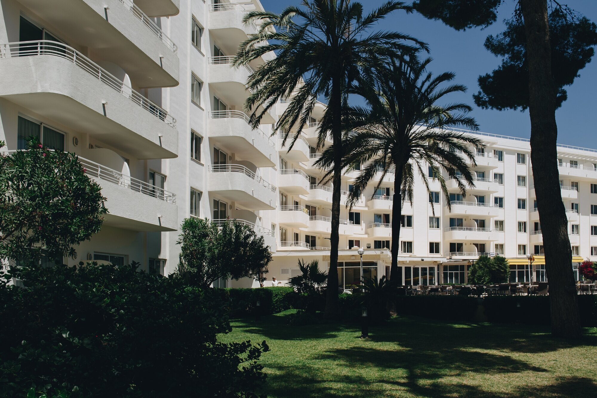 Hotel Ivory Playa photo 5