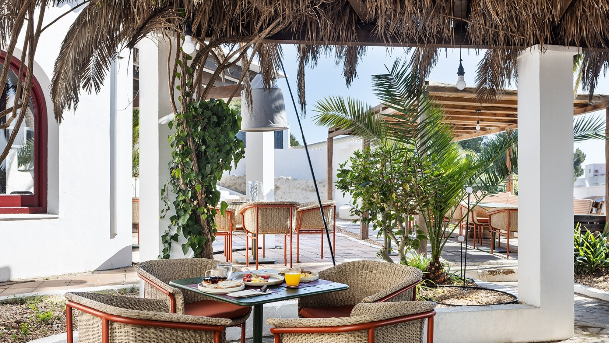 Hotel One Shot Buenavista photo 8