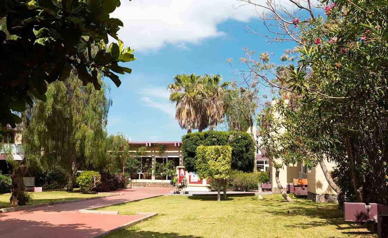 Hotel Palia Don Pedro photo 8