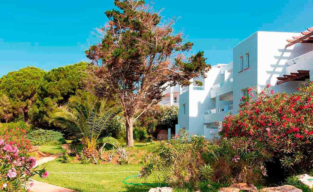 Hotel Palia Puerto Del Sol photo 7
