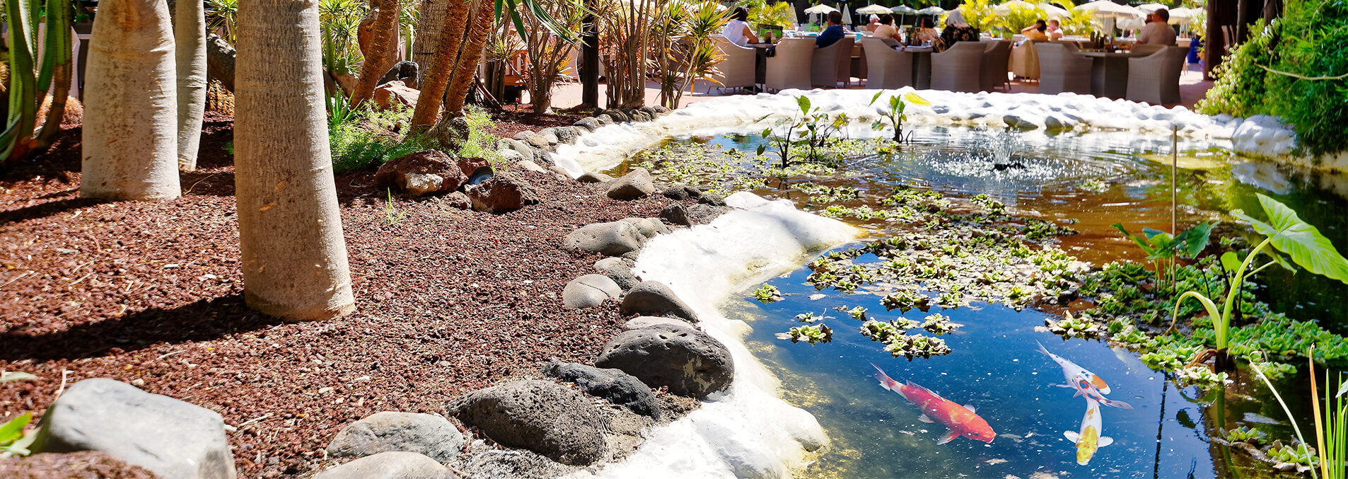 Hotel Parque Tropical photo 5