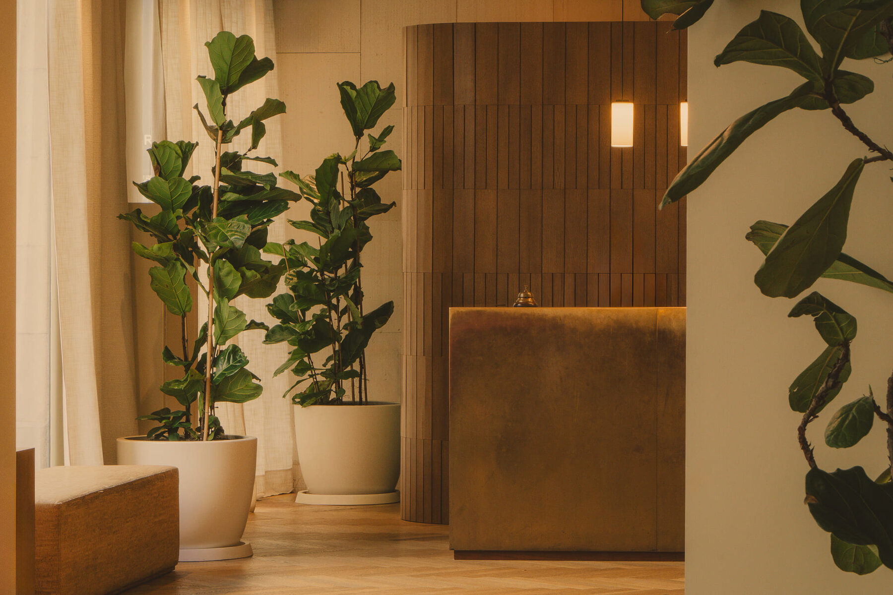 Hotel Regina Barcelona photo 9