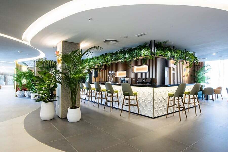 Hotel Riu Concordia photo 7