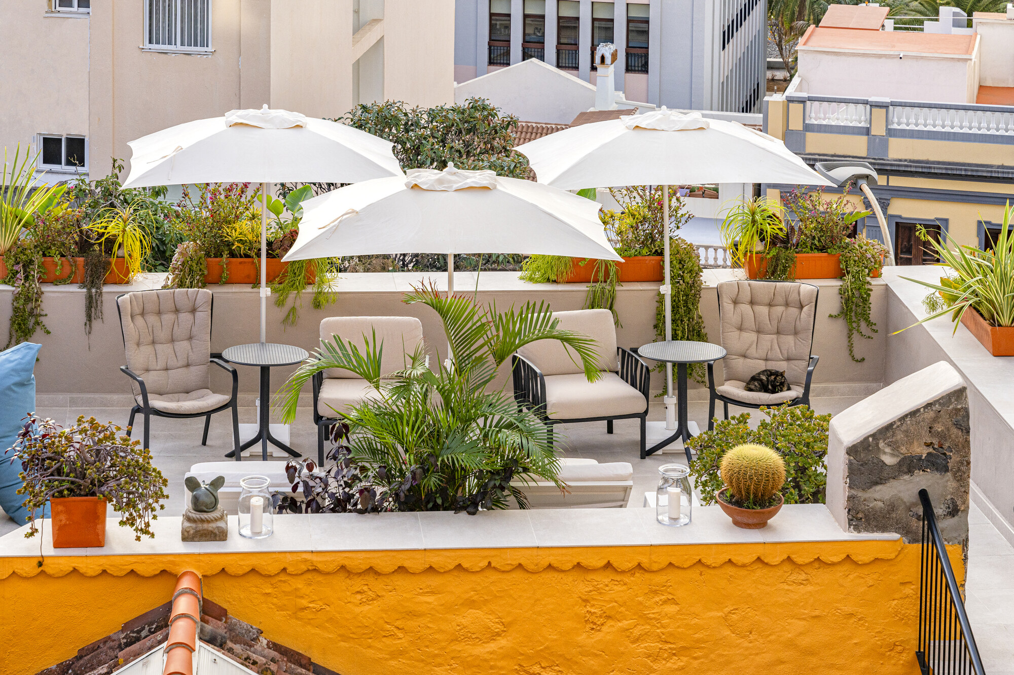 Hotel San Telmo photo 4