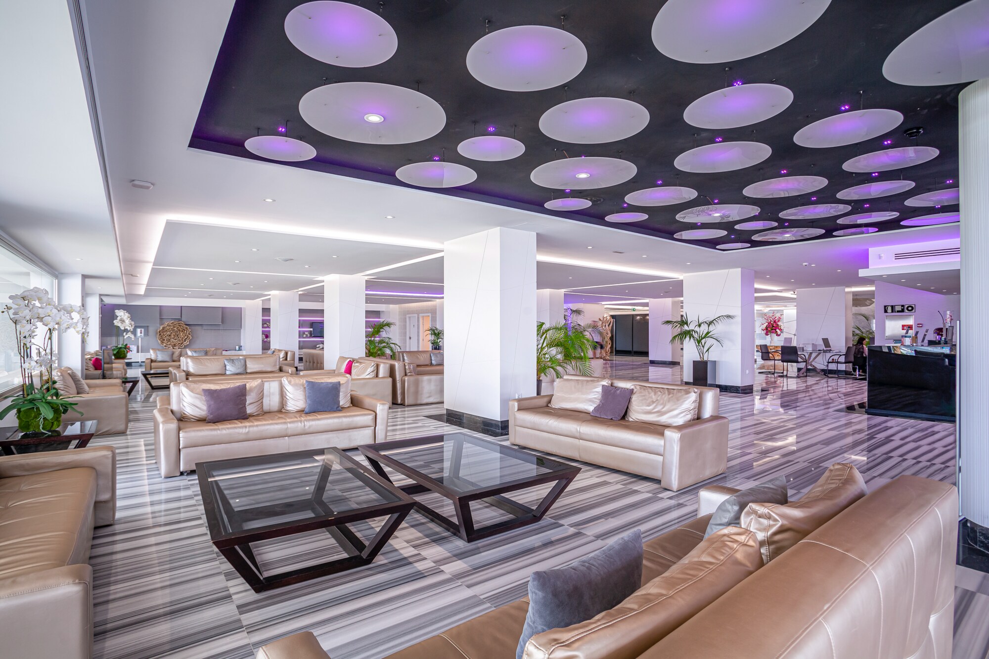 Hotel Torre del Mar photo 9