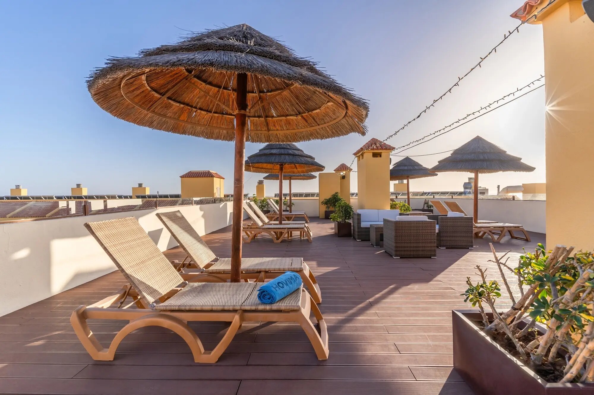 HOVIMA Jardin Caleta photo 6