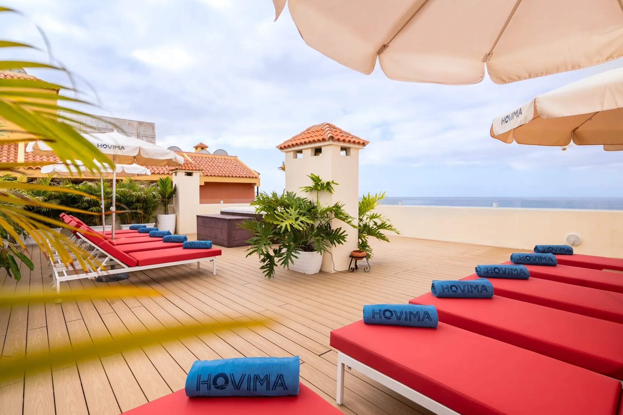 HOVIMA Jardin Caleta photo 7