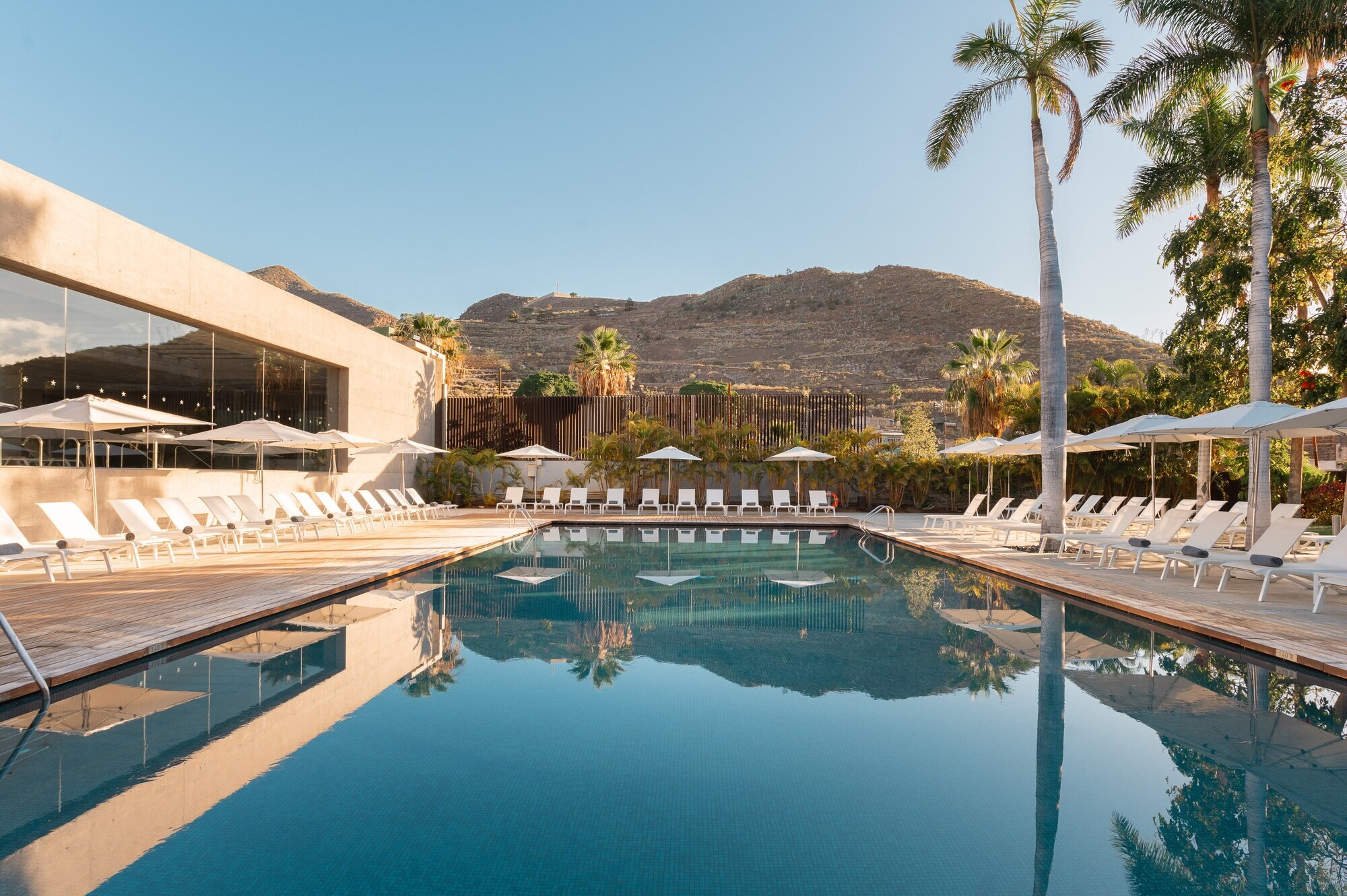 Iberostar Grand Mencey photo 3