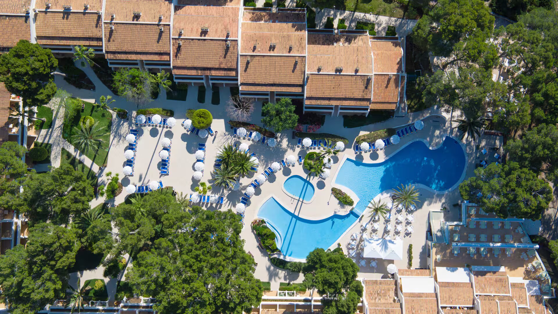 Iberostar Waves Pinos Park photo 4