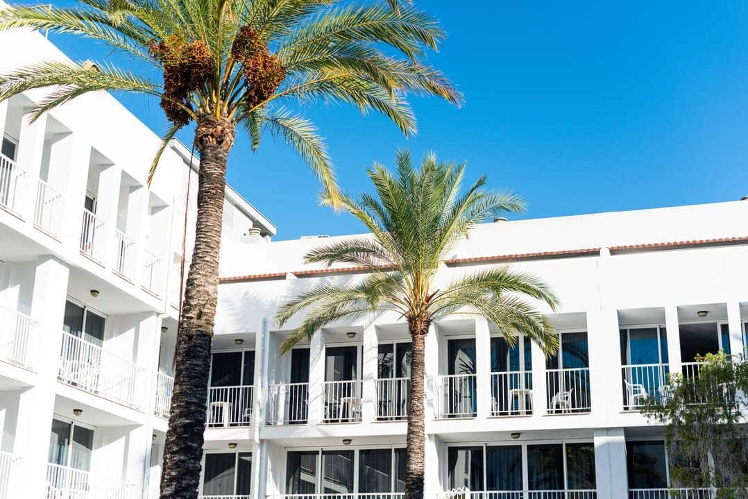 Ibiza Rocks Hotel photo 4