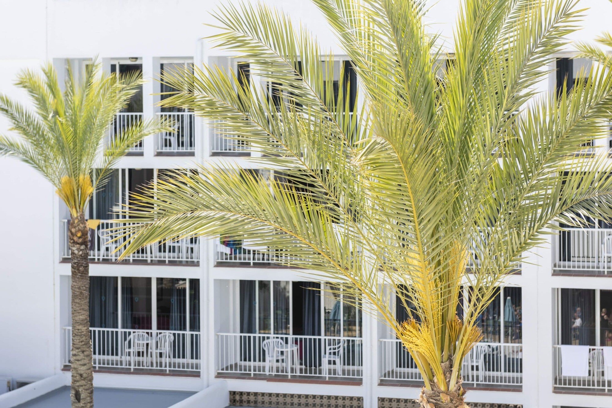 Ibiza Rocks Hotel photo 5