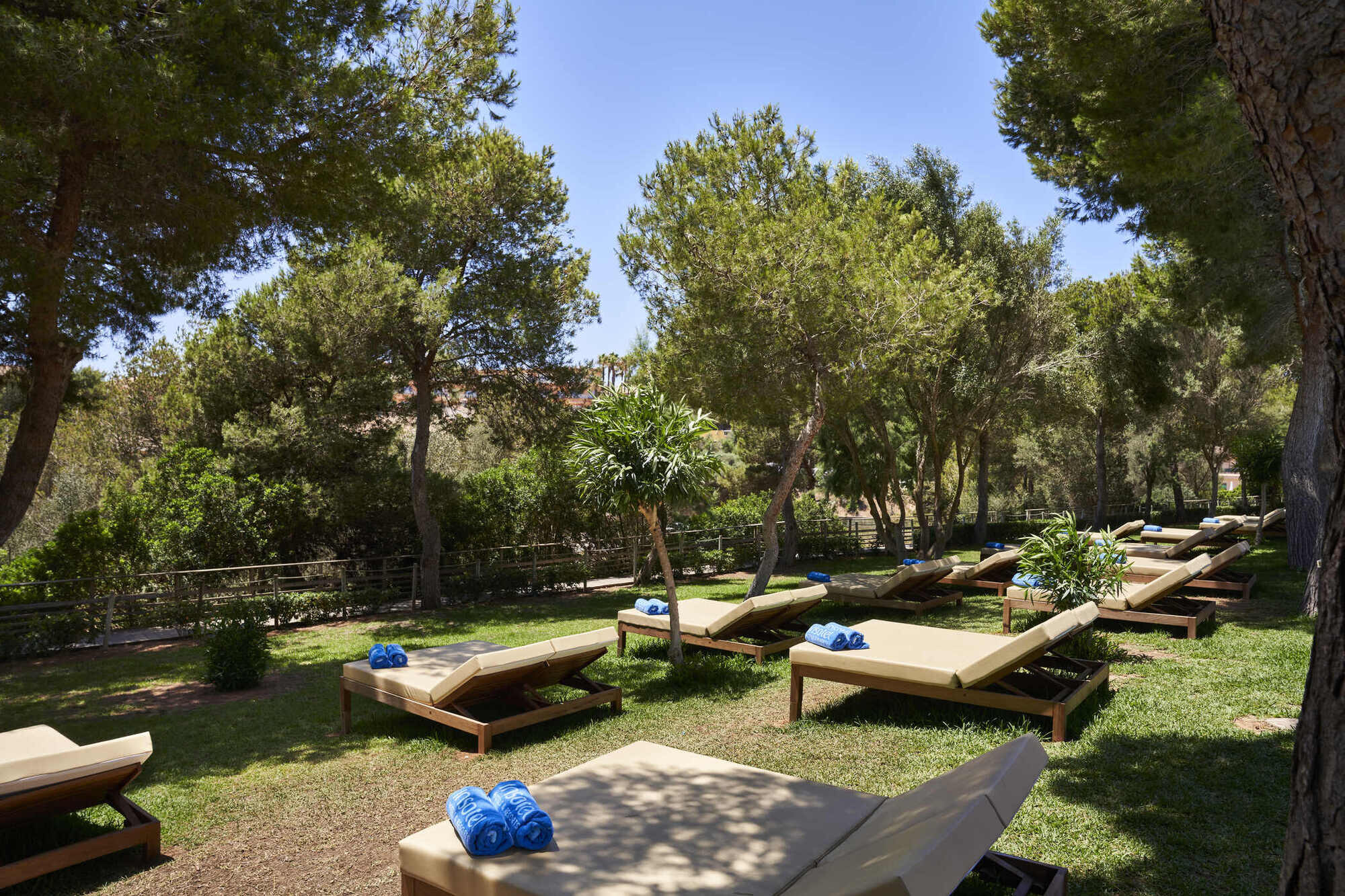 Insotel Cala Mandía Resort & Spa photo 3