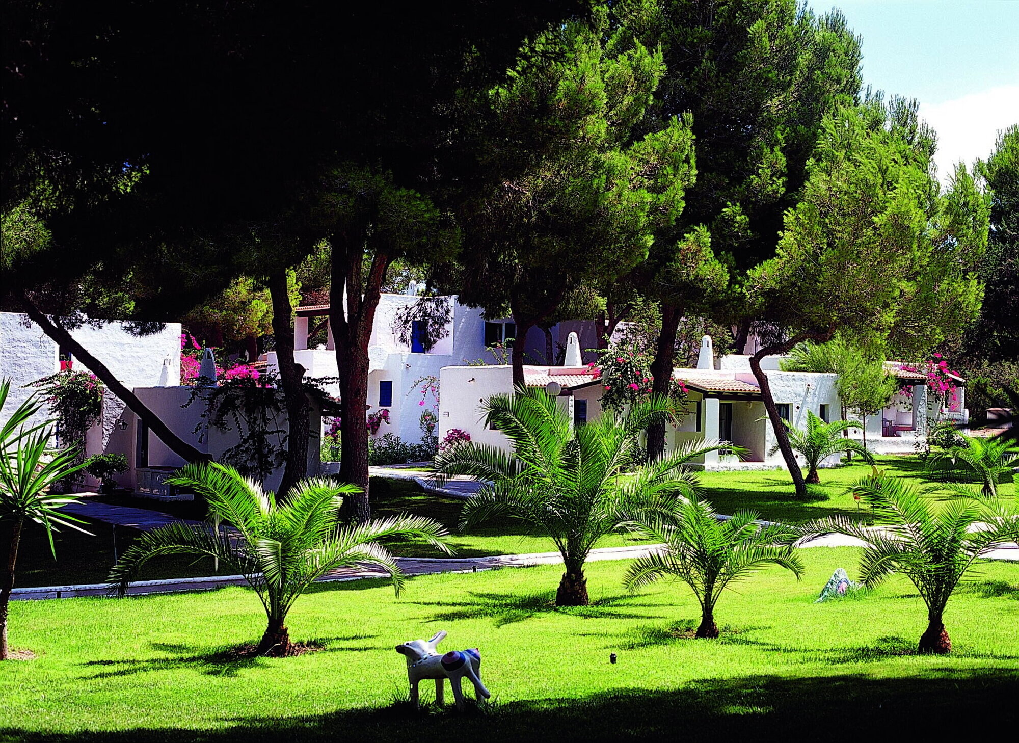 Insotel Club Maryland photo 4