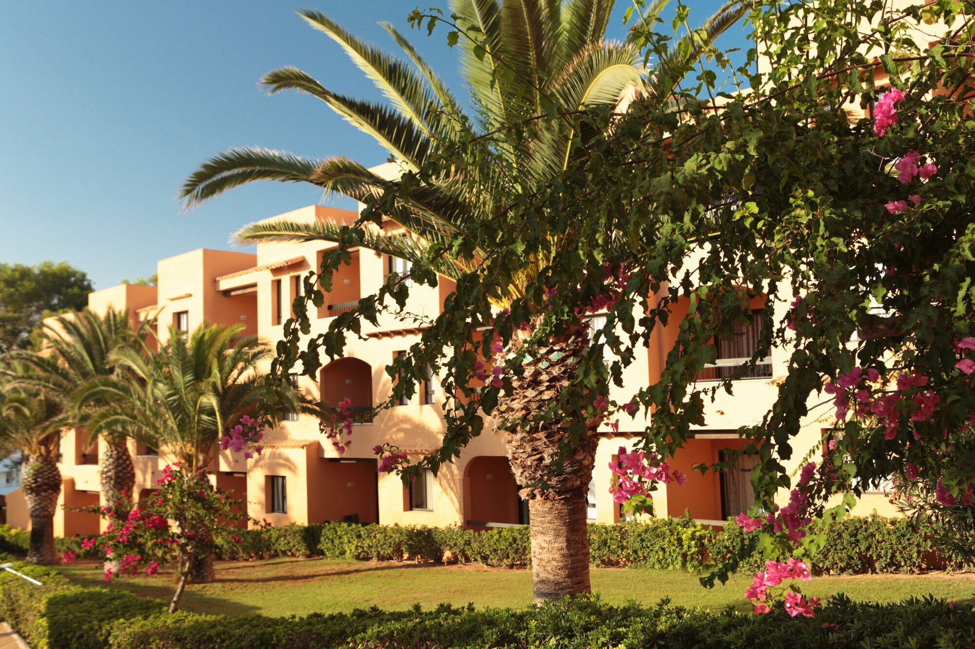 Insotel Club Tarida Playa photo 5