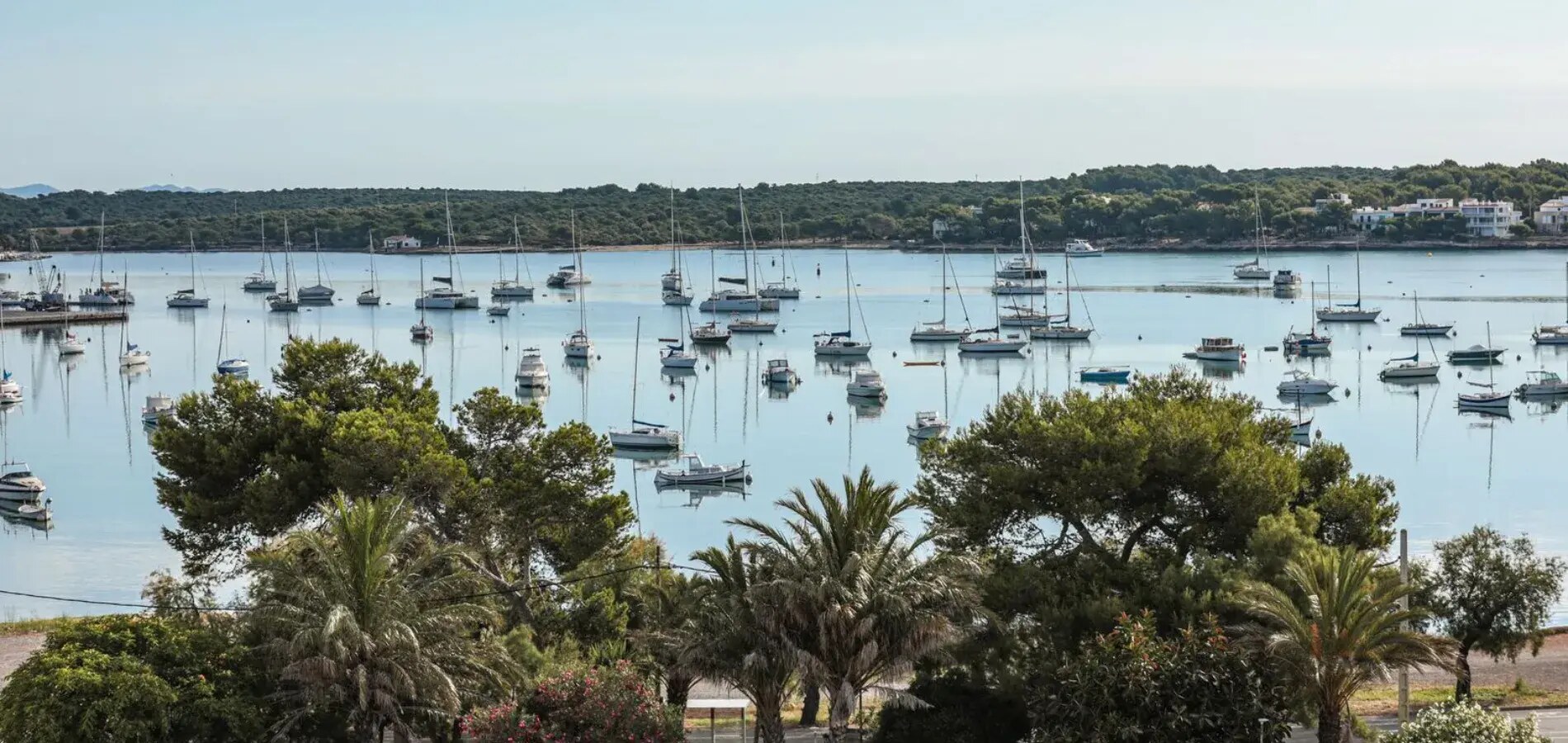 JS Portocolom Suites photo 2
