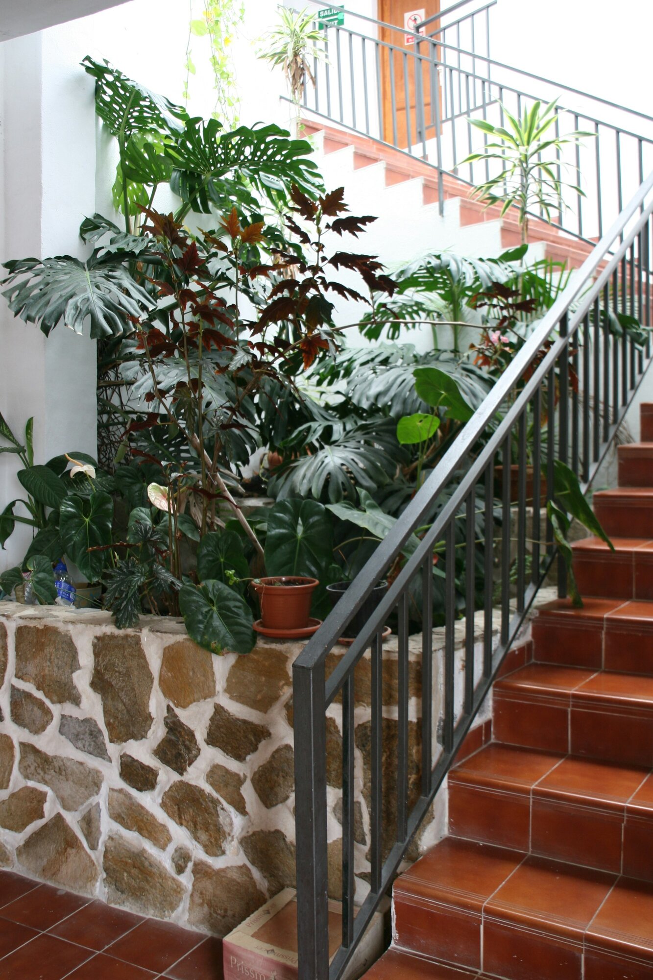 La Palma Hostel by Pensión Central photo 10