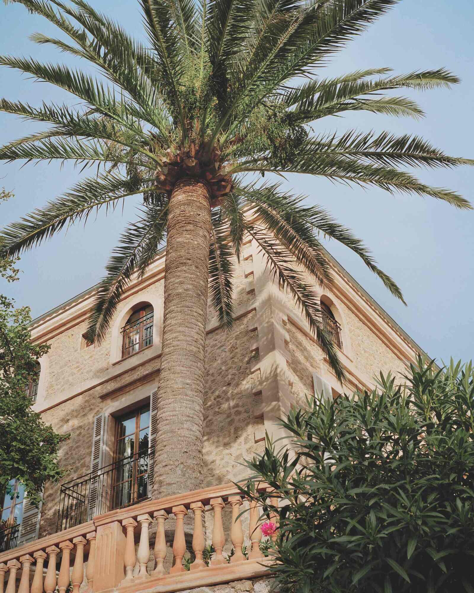 La Residencia, A Belmond Hotel, Mallorca photo 4