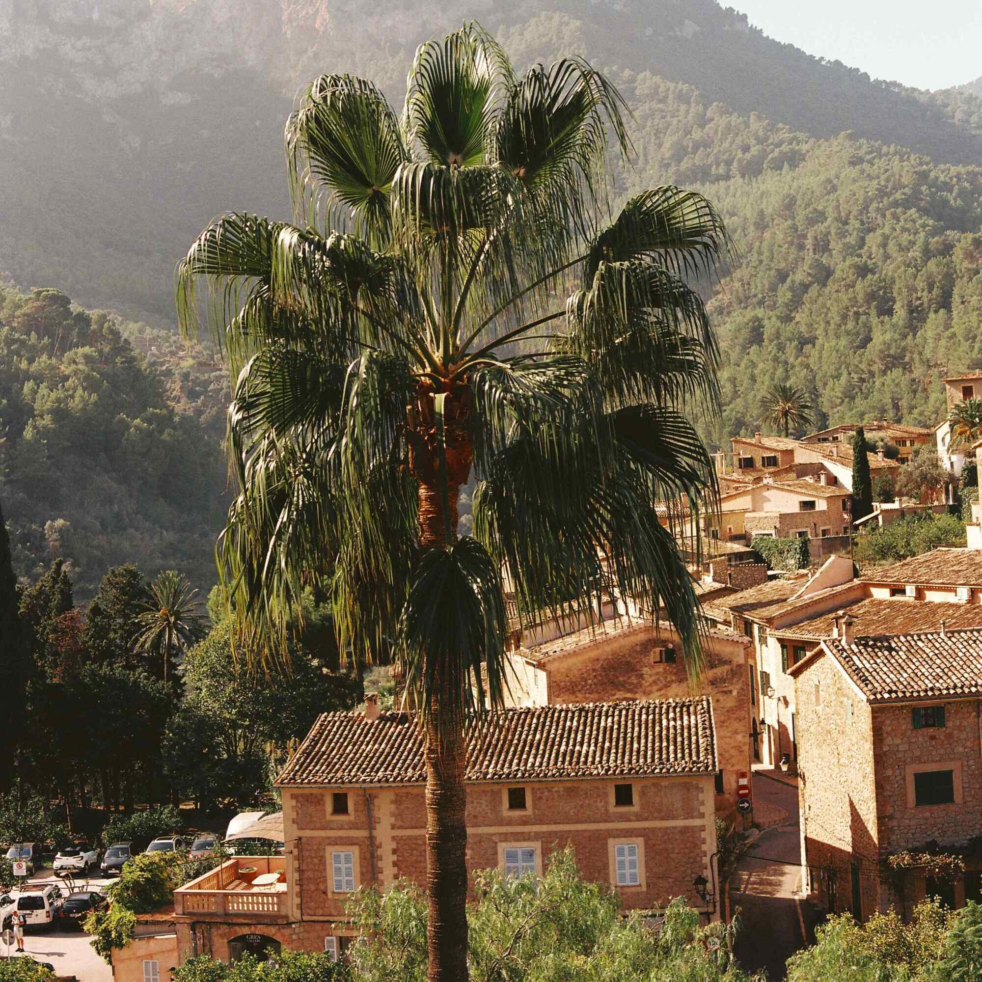 La Residencia, A Belmond Hotel, Mallorca photo 8