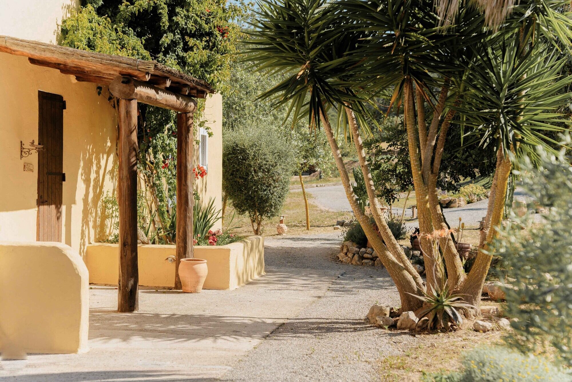 Las Mariposas Ibiza photo 3