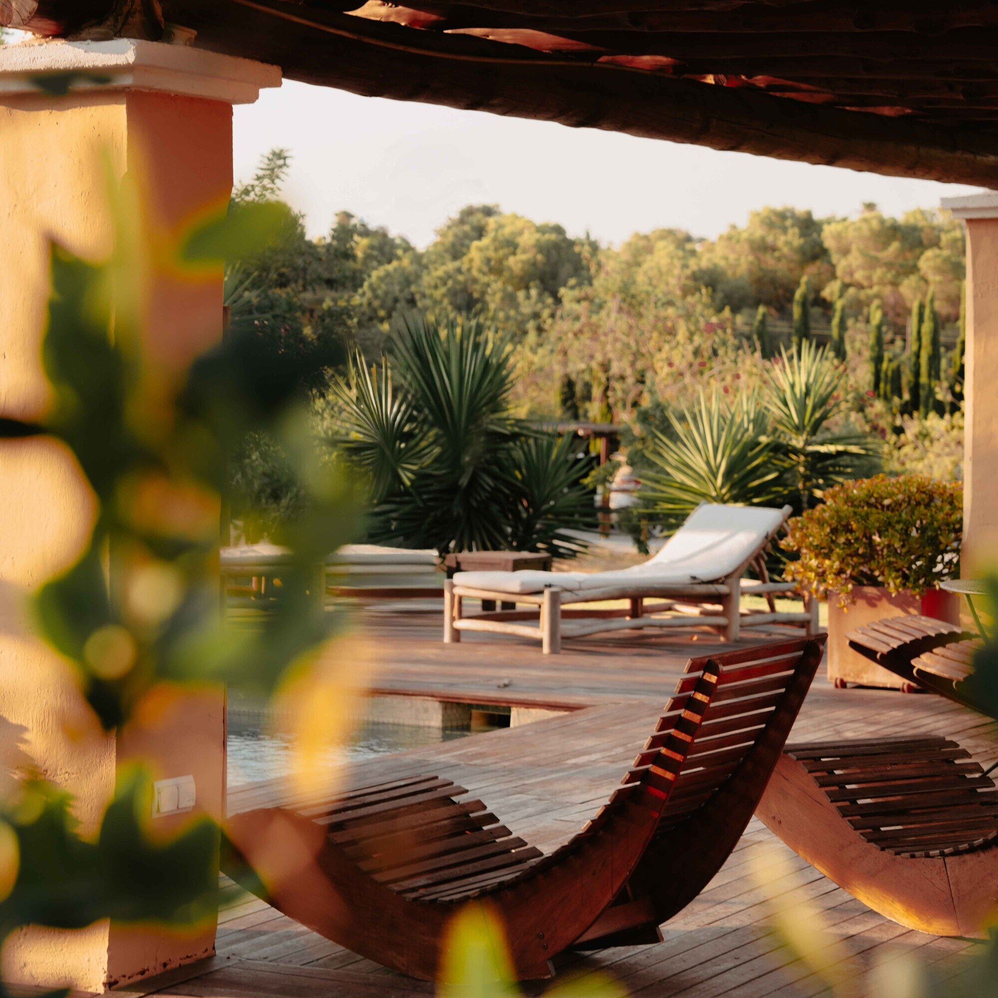 Las Mariposas Ibiza photo 4