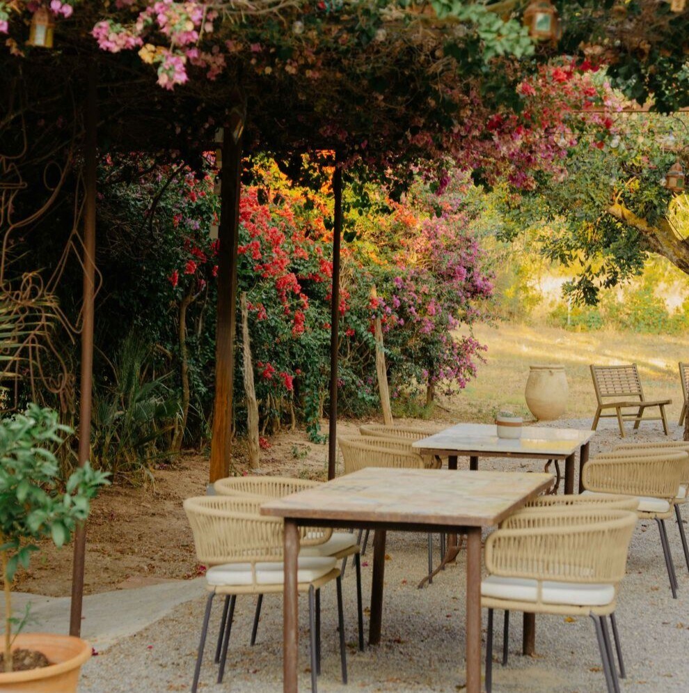 Las Mariposas Ibiza photo 5